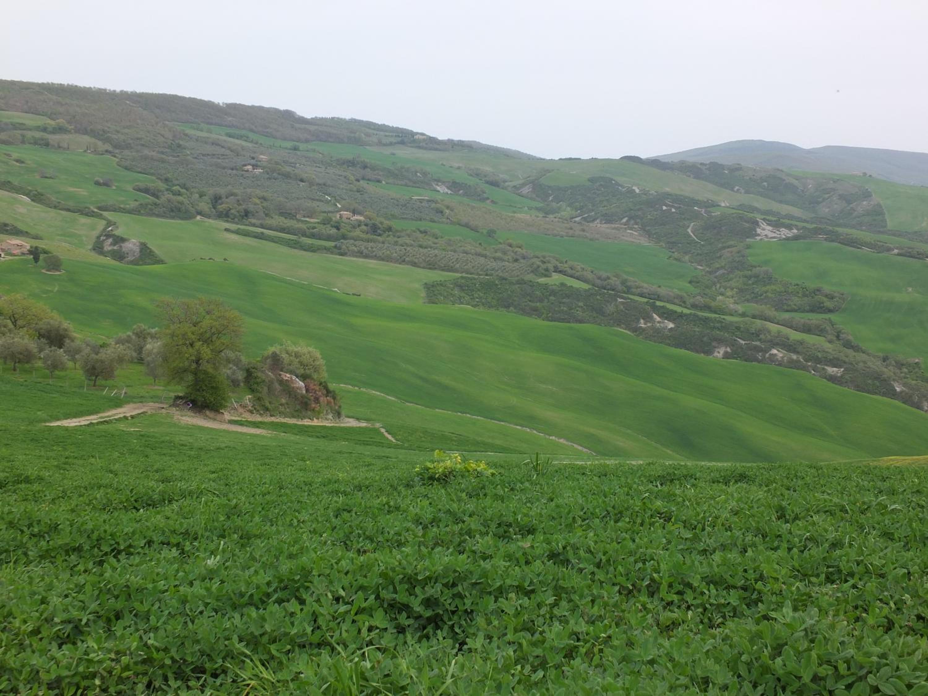 Agriturismo Riposati