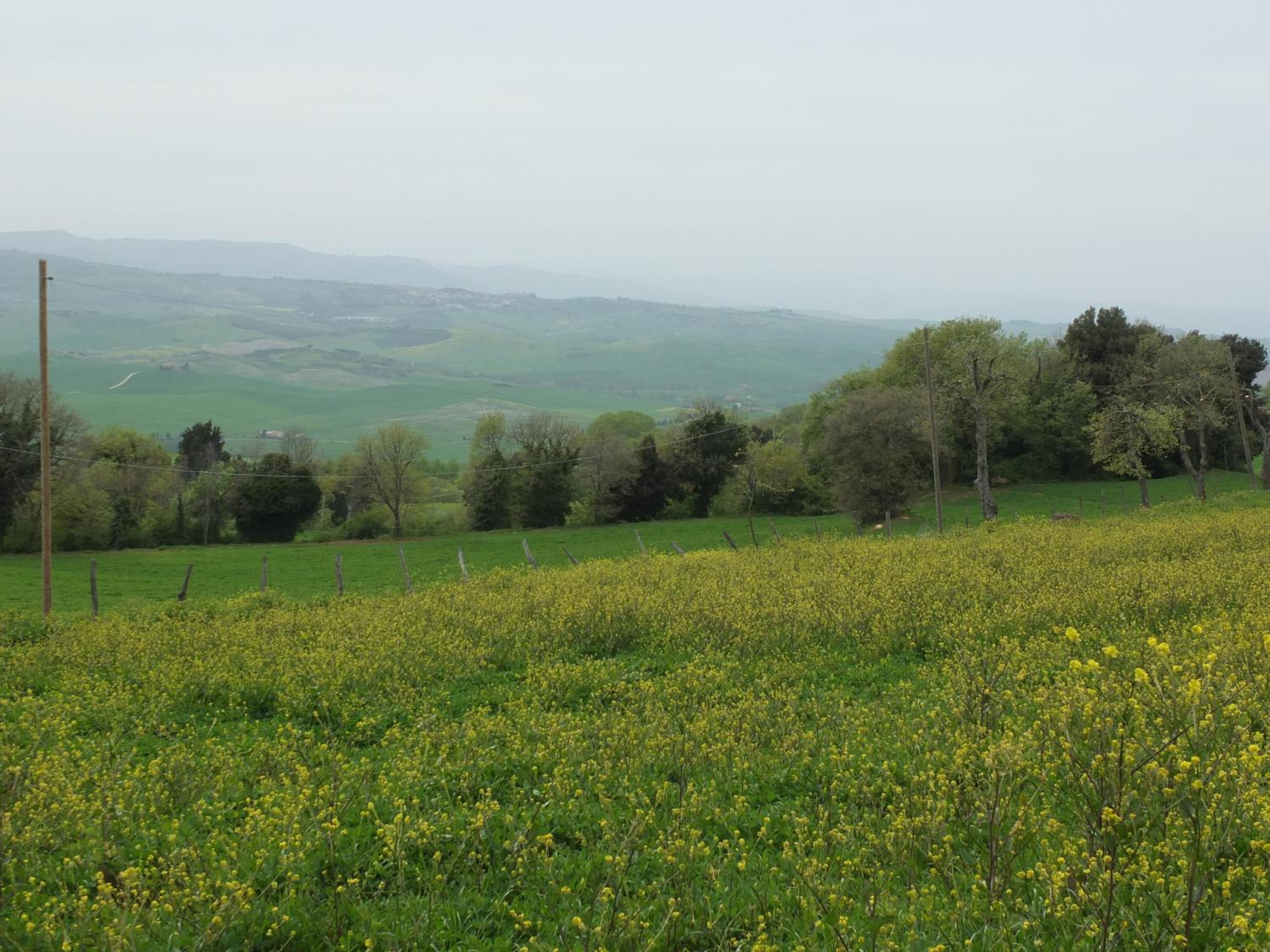 Agriturismo Riposati