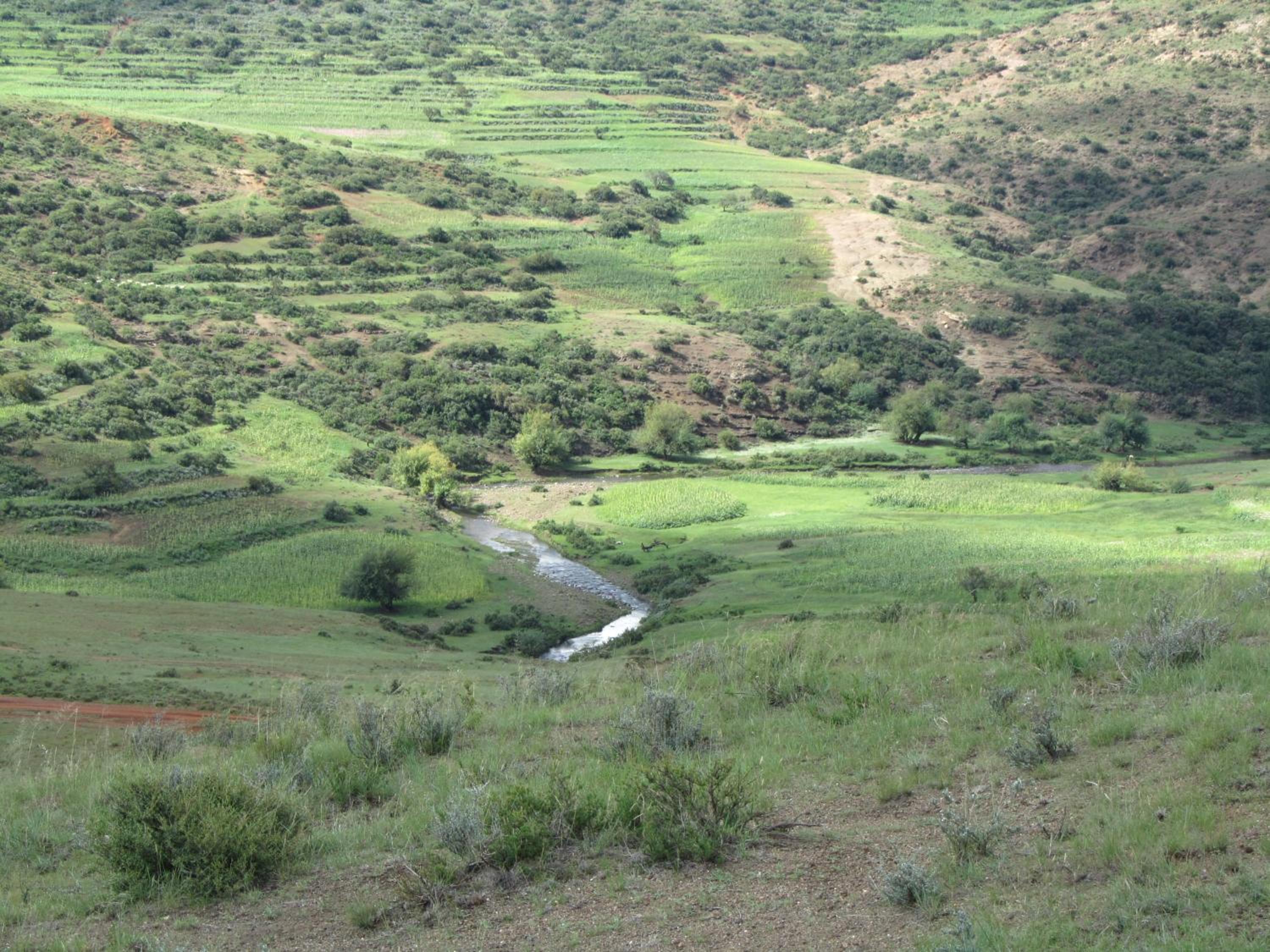 Photo 23