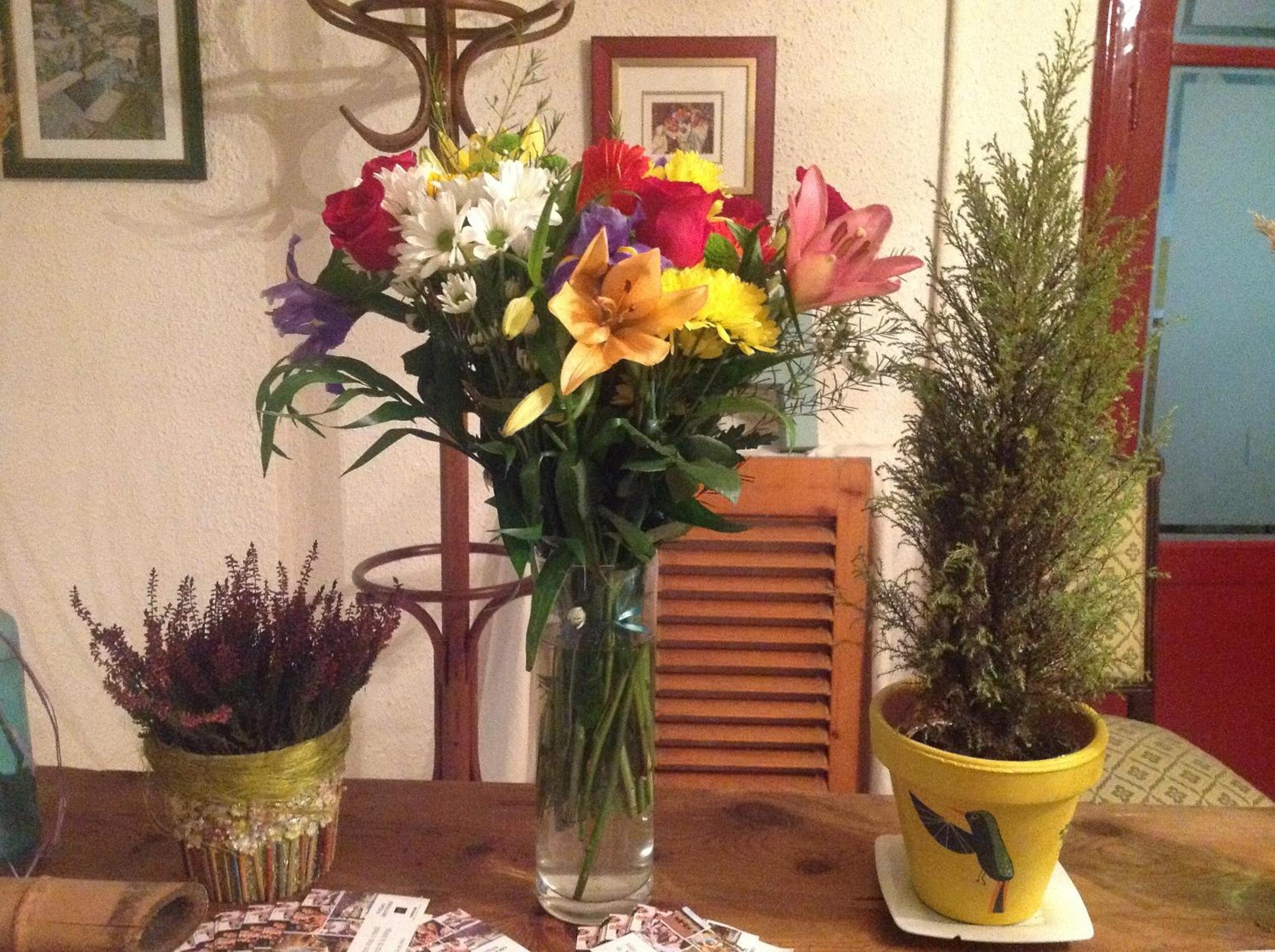 Photo 19
