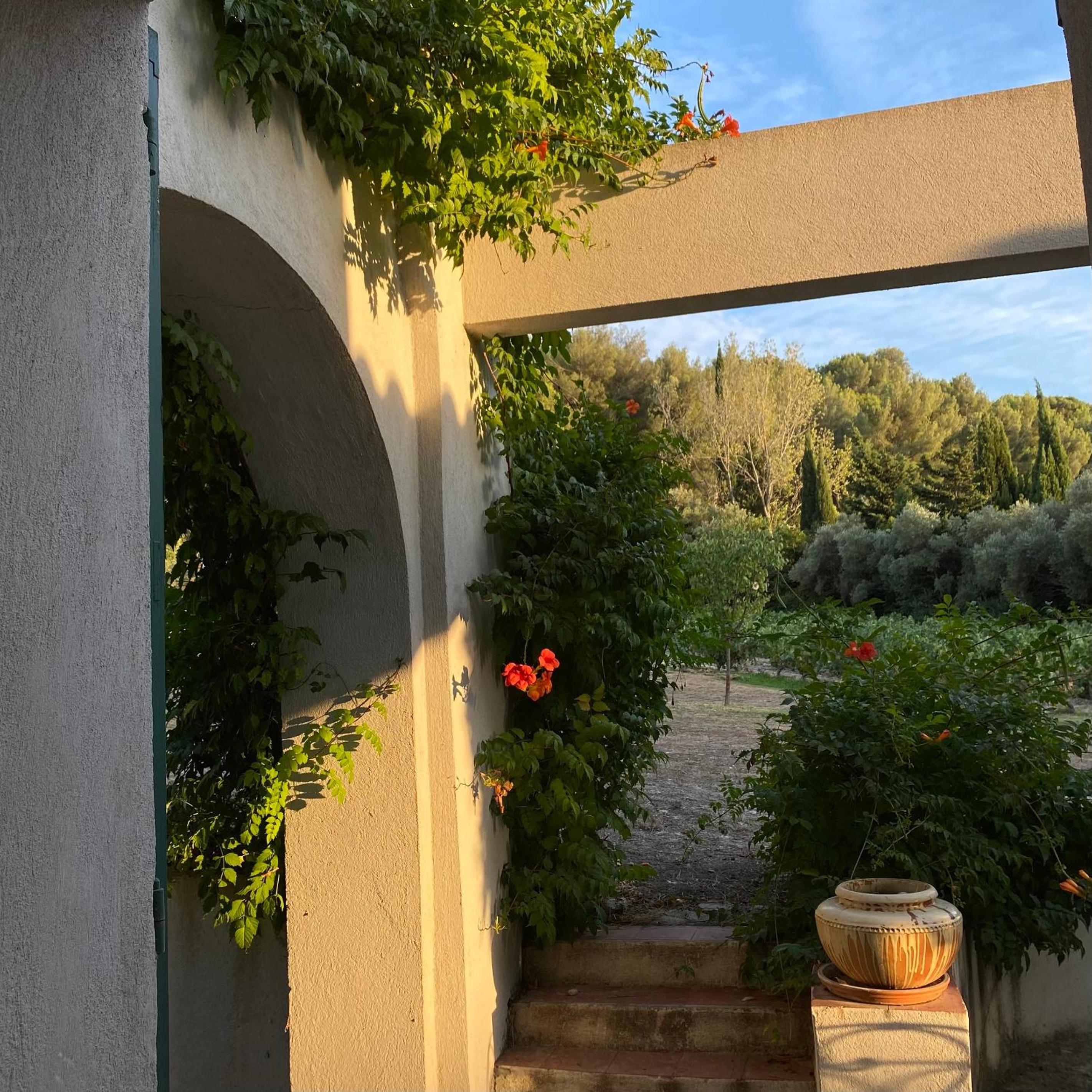 Villavos- Le Bocage - Ancienne bastide Au charme authentique - piscine et jardin privés - 12 pers - Cassis, photo 4