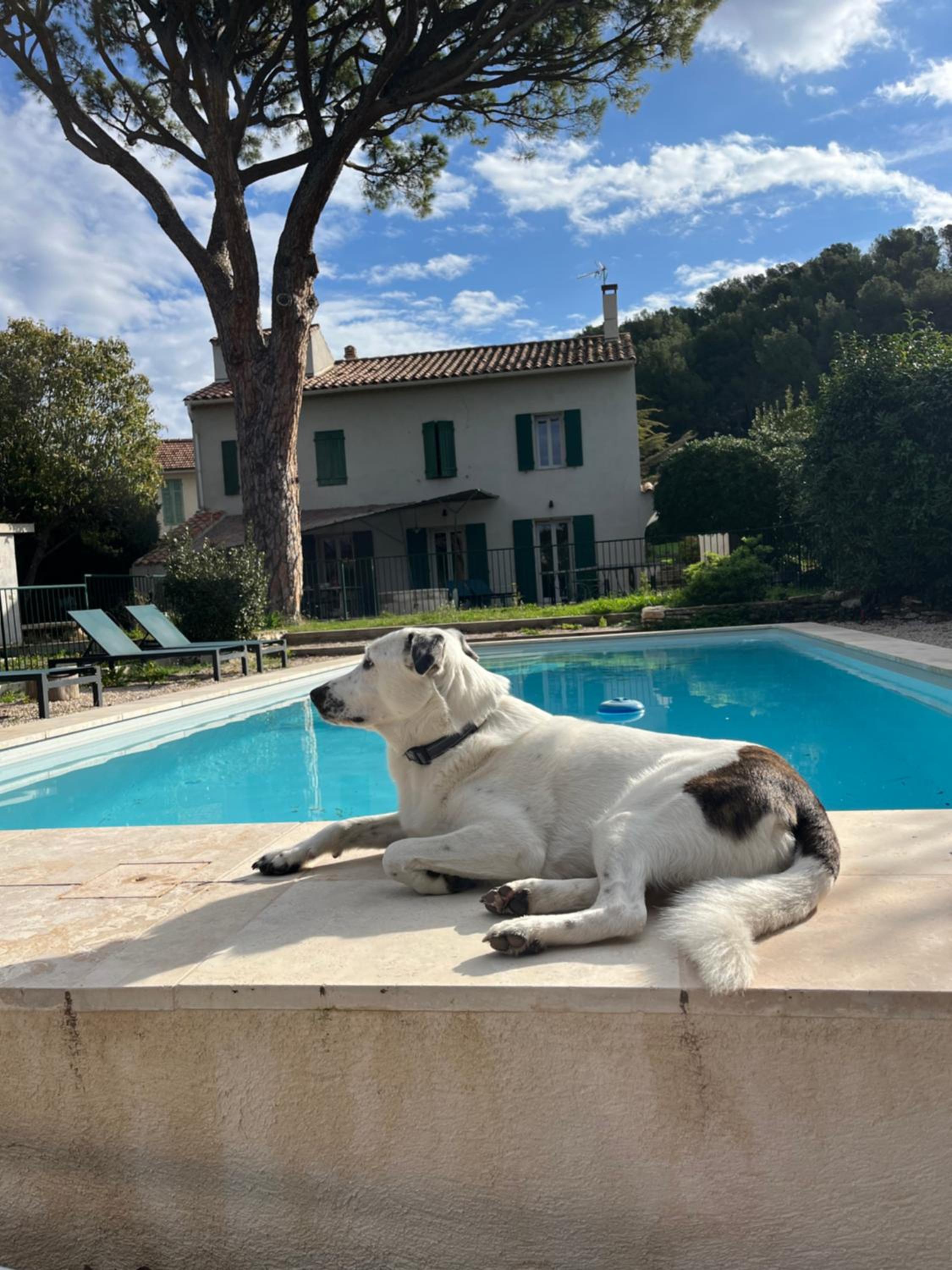 Villavos- Le Bocage - Ancienne bastide Au charme authentique - piscine et jardin privés - 12 pers - Cassis, photo 47