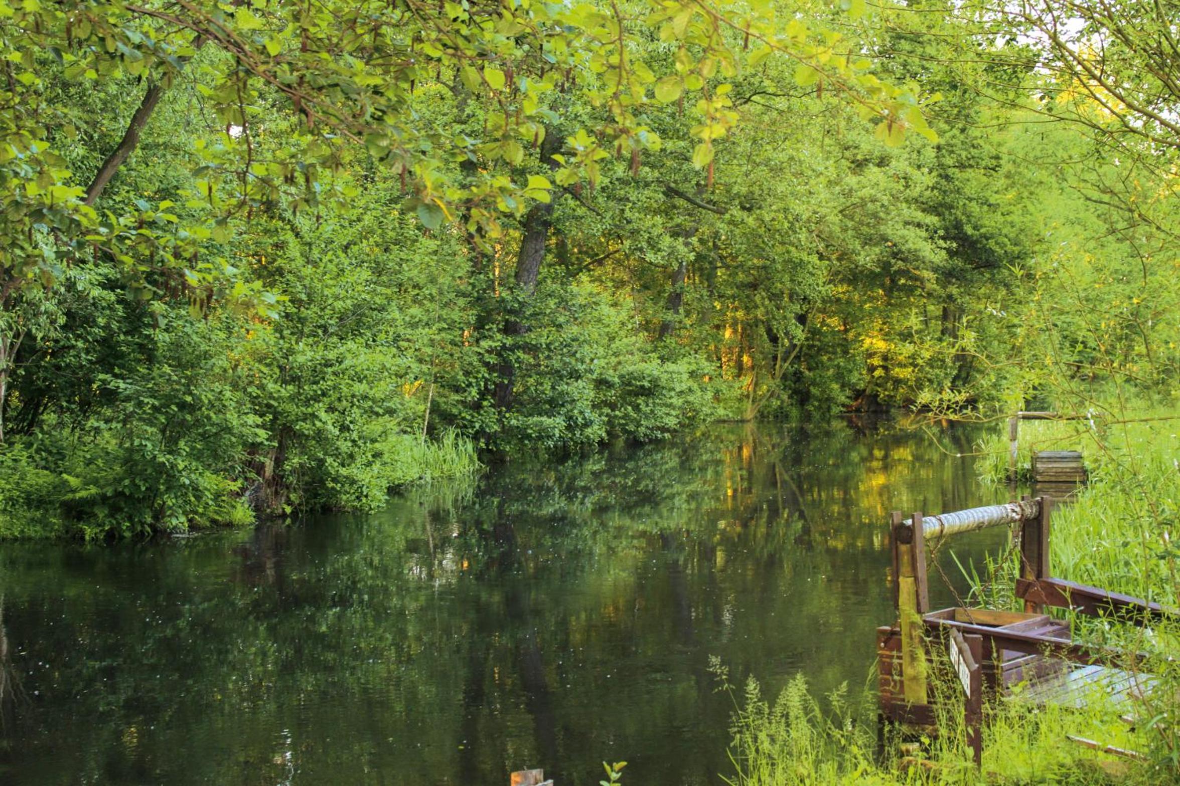 Pension Spreewaldhof Leipe