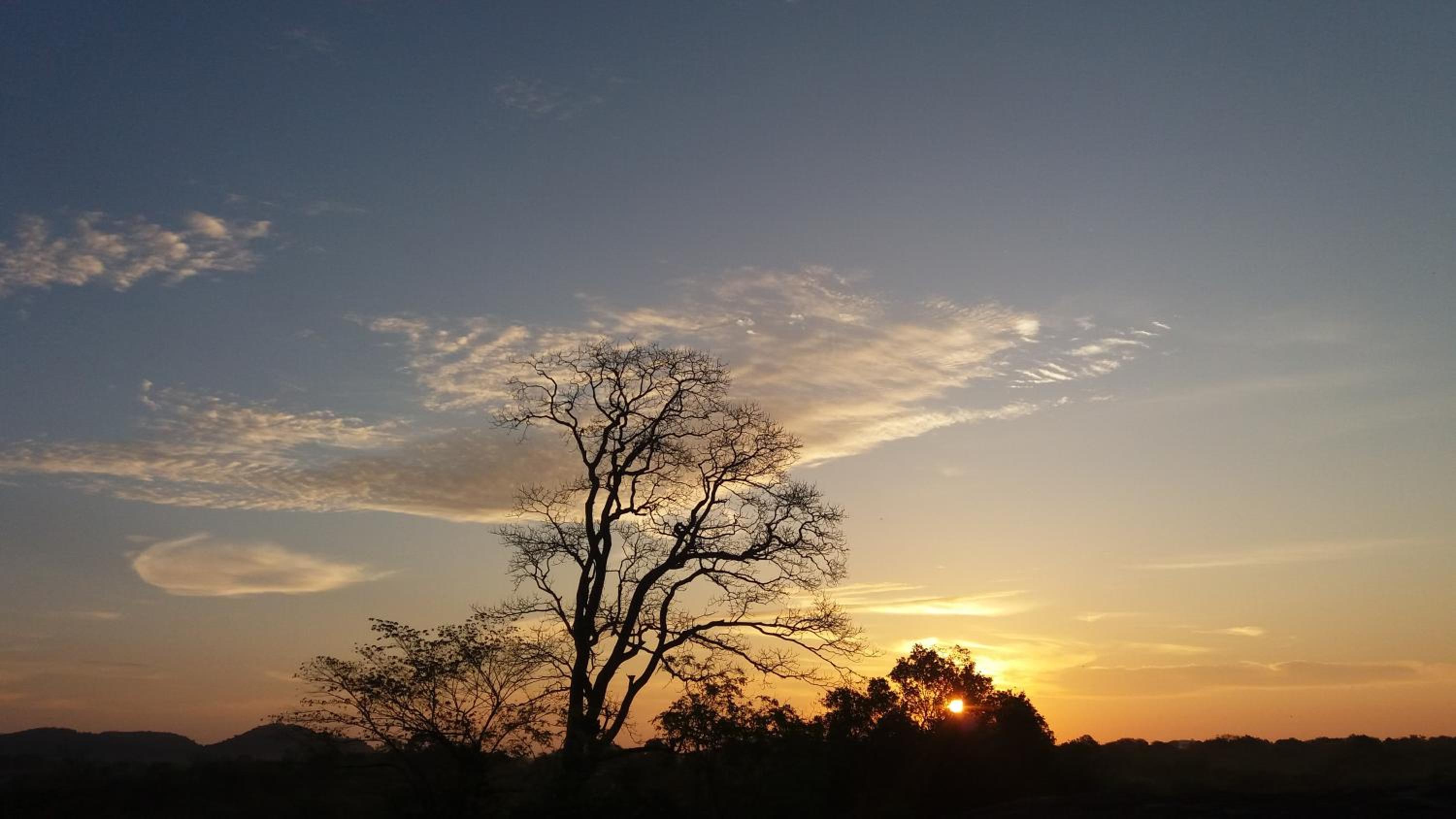 Mahoora Udawalawe - by Eco Team