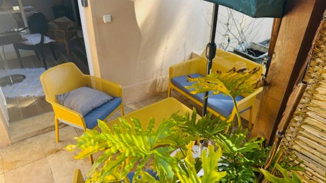 Villa Des oliviers, photo 44