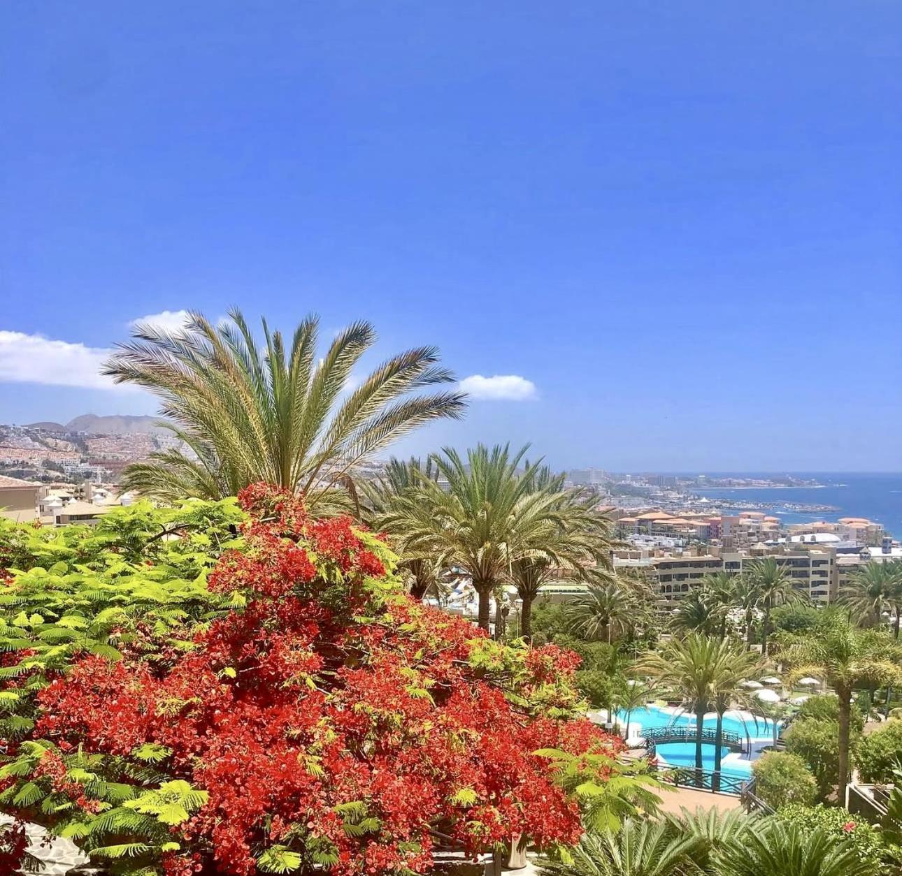 Panoramic Paradise Tenerife Ocean View & Comfort