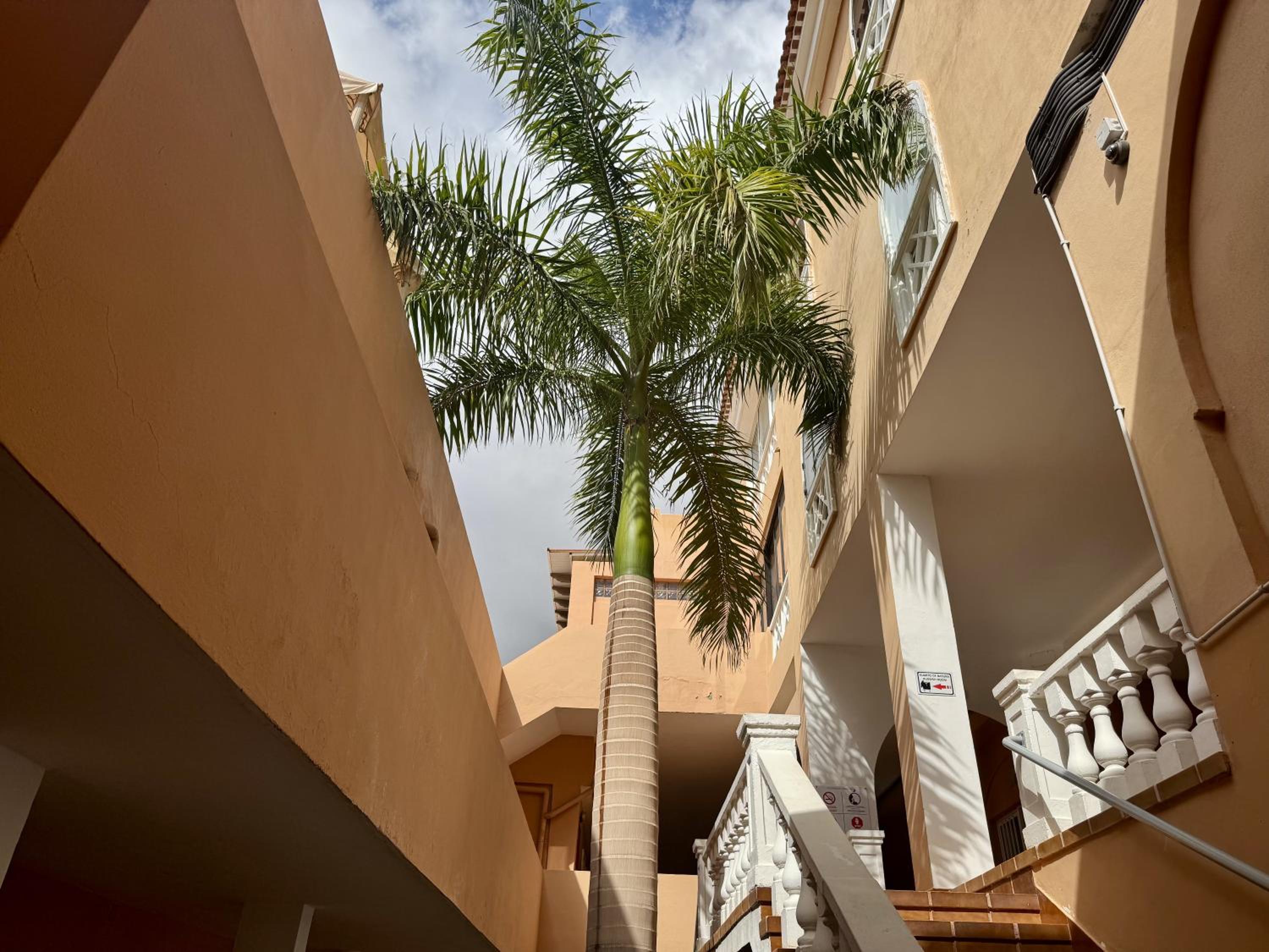 Panoramic Paradise Tenerife Ocean View & Comfort