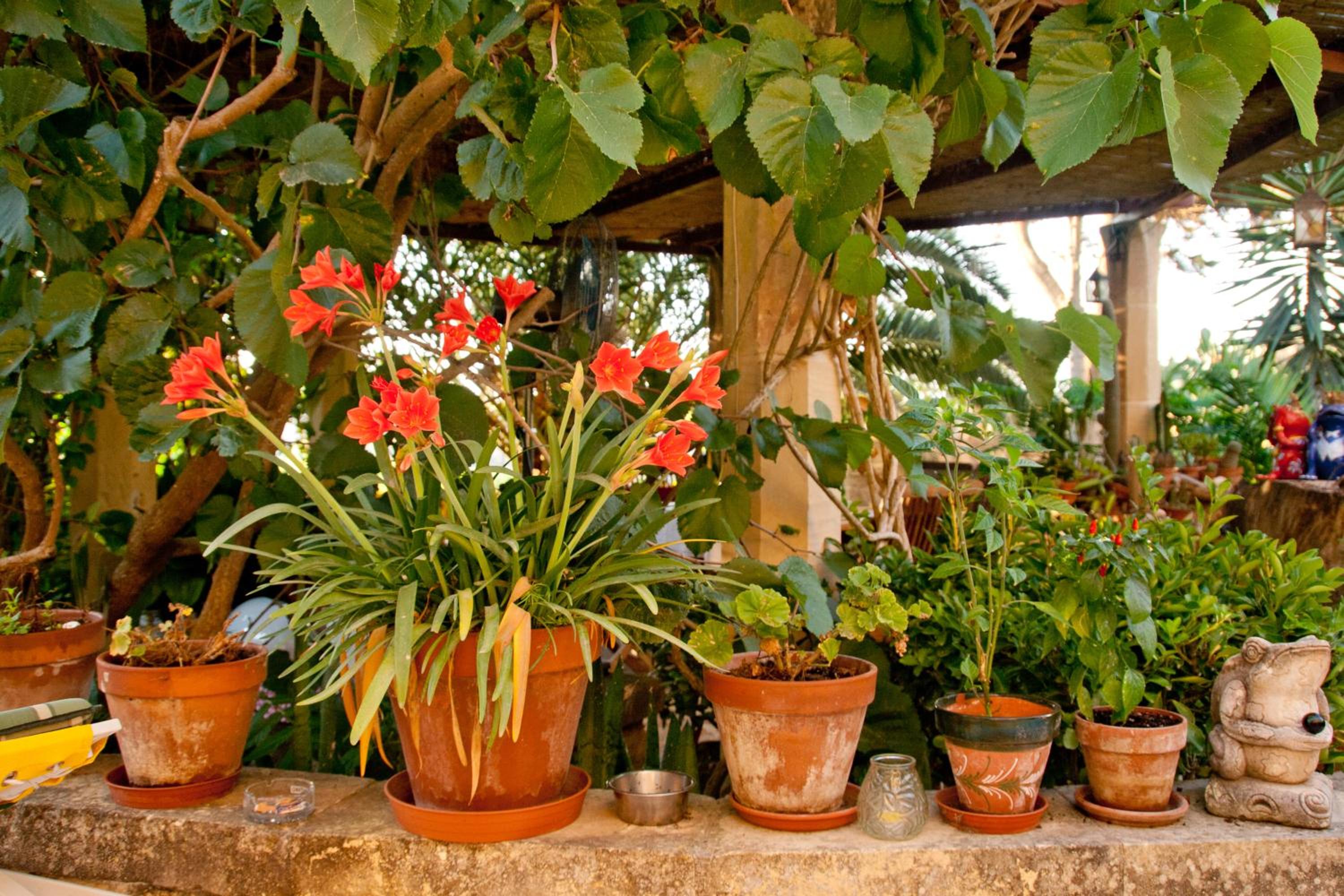 Dar tal-Kaptan Boutique Maison