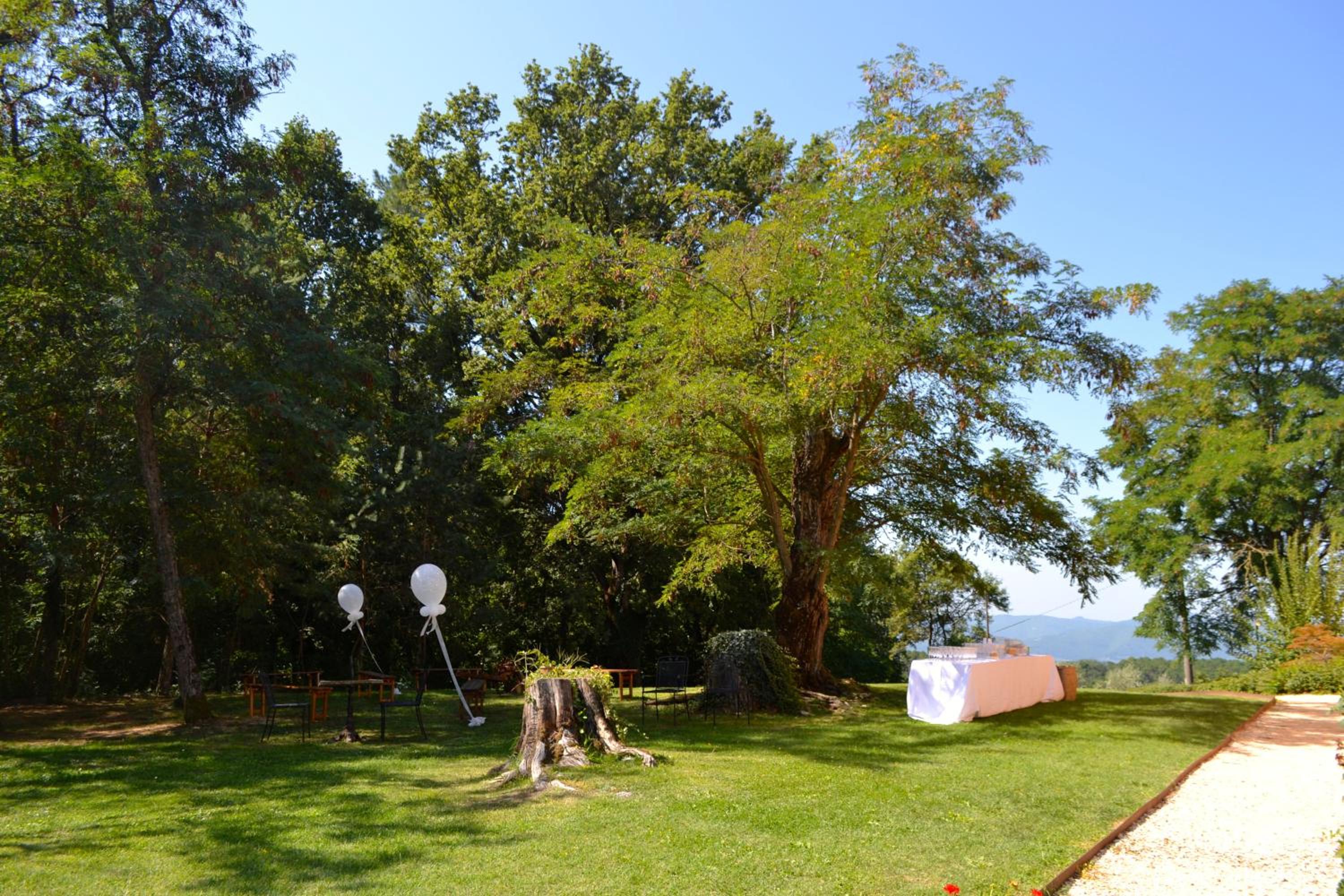 Photo 49