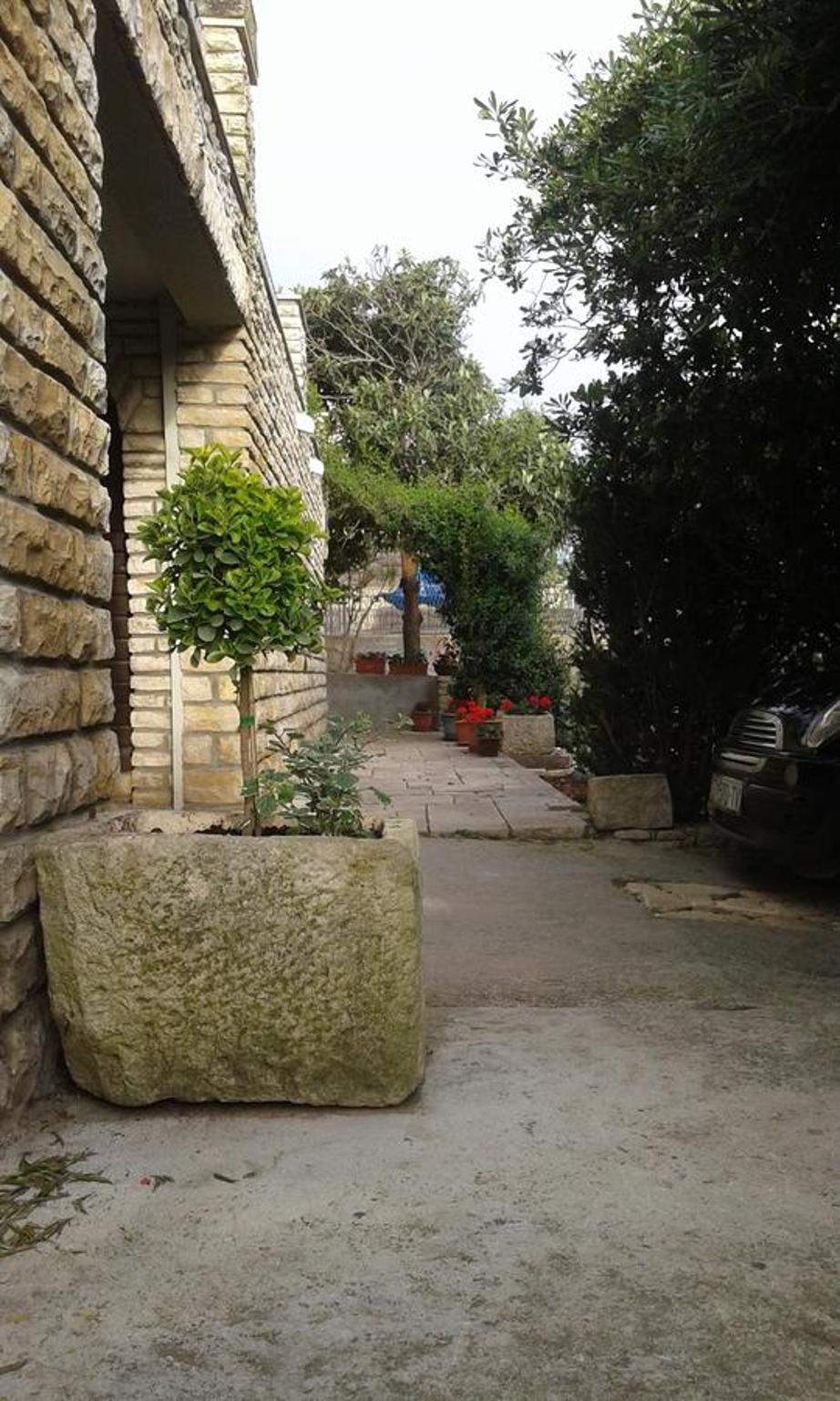 Photo 51