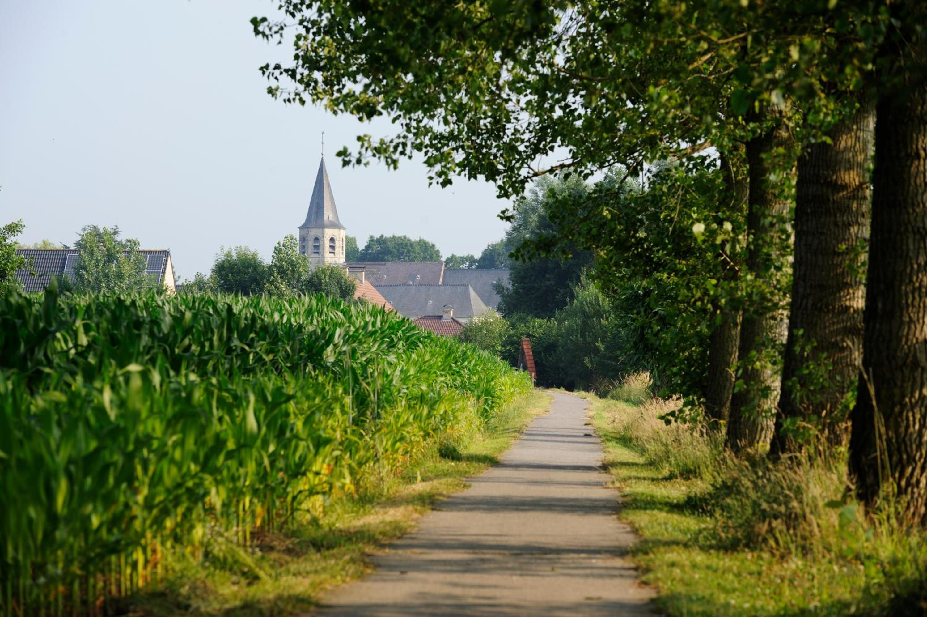 other
