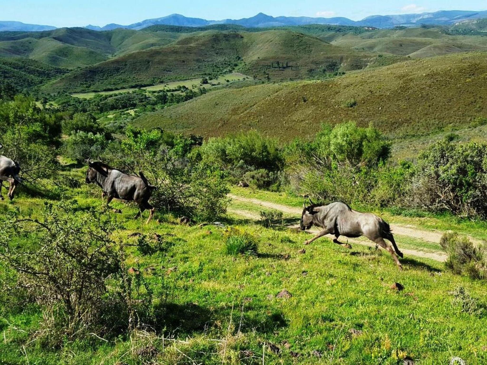 Pabala Private Nature Reserve