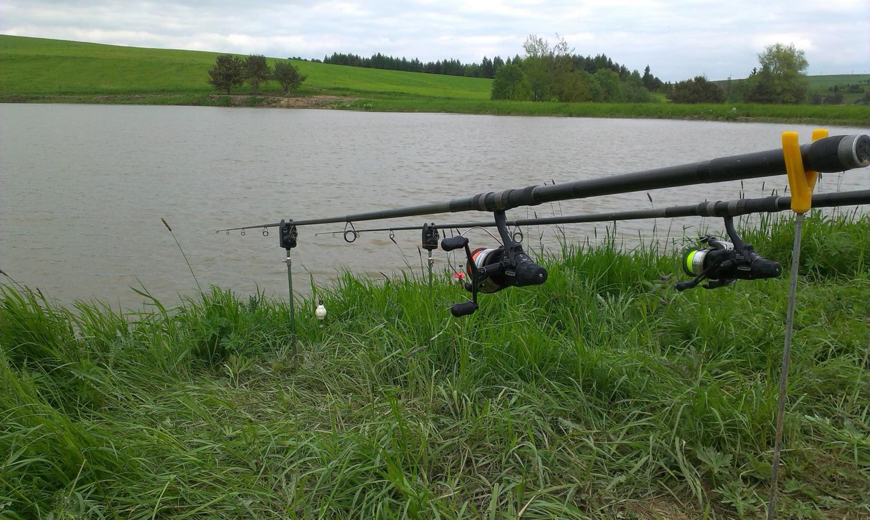 Photo 41