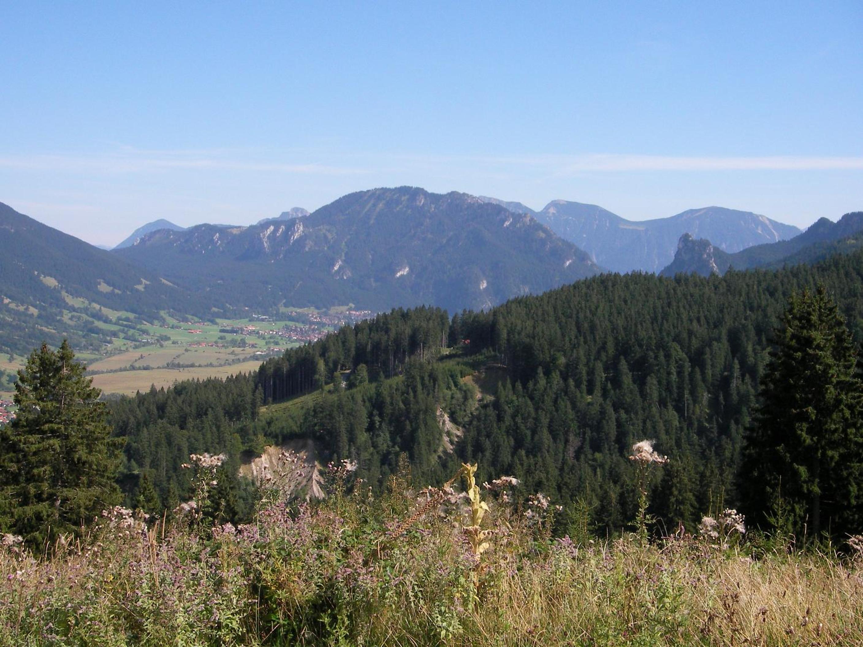 Photo 40