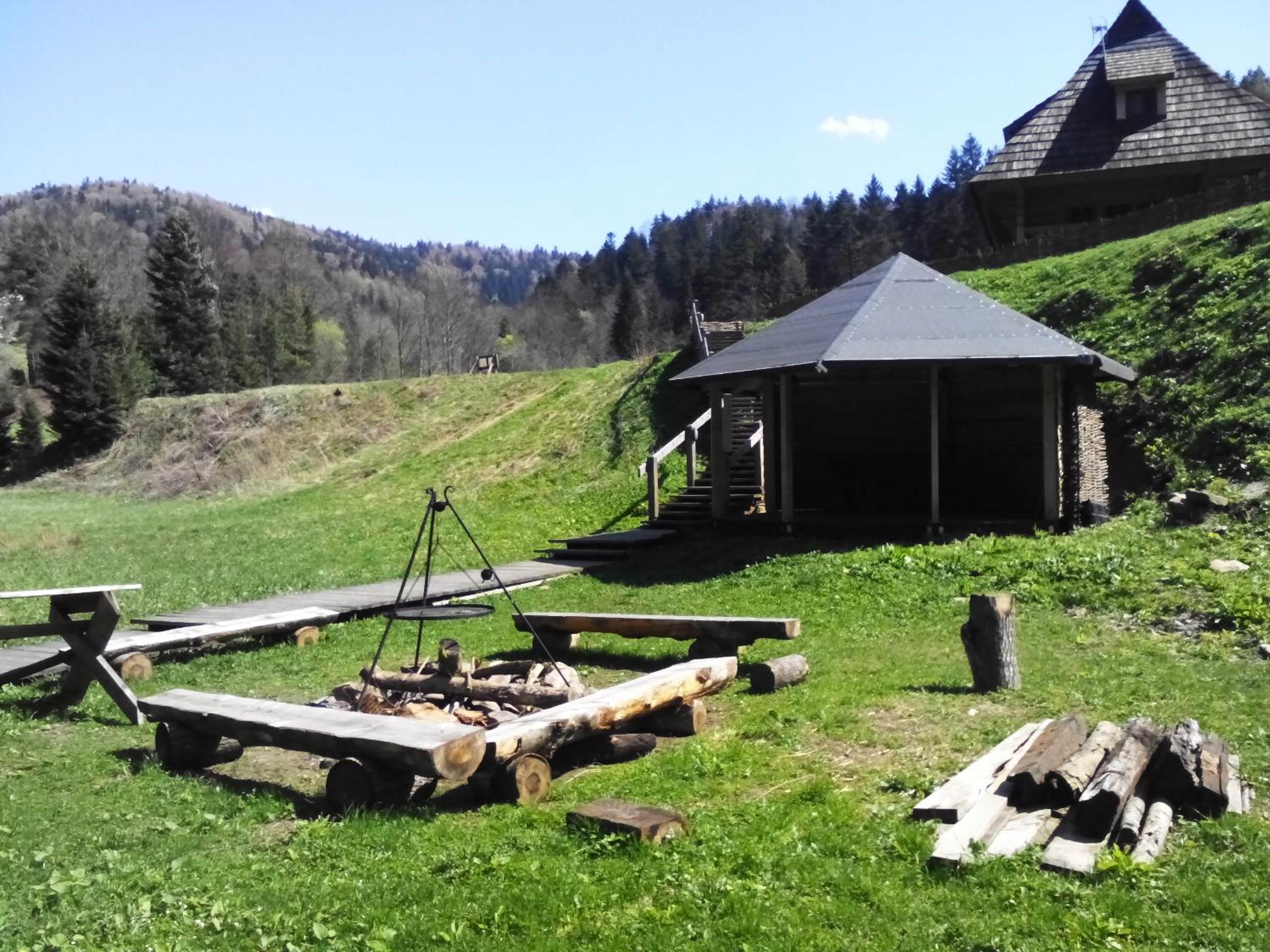 Photo 41