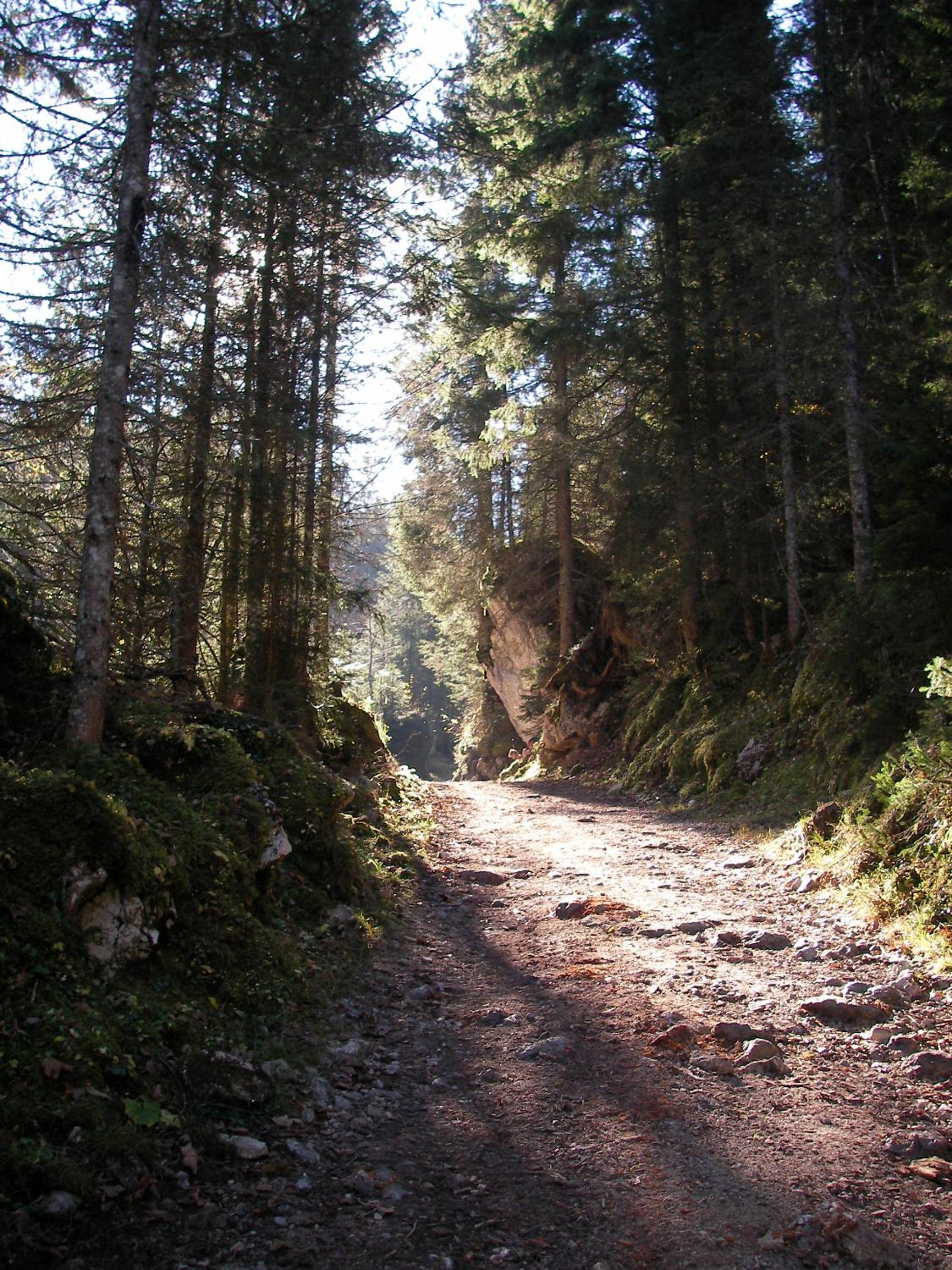 Photo 41