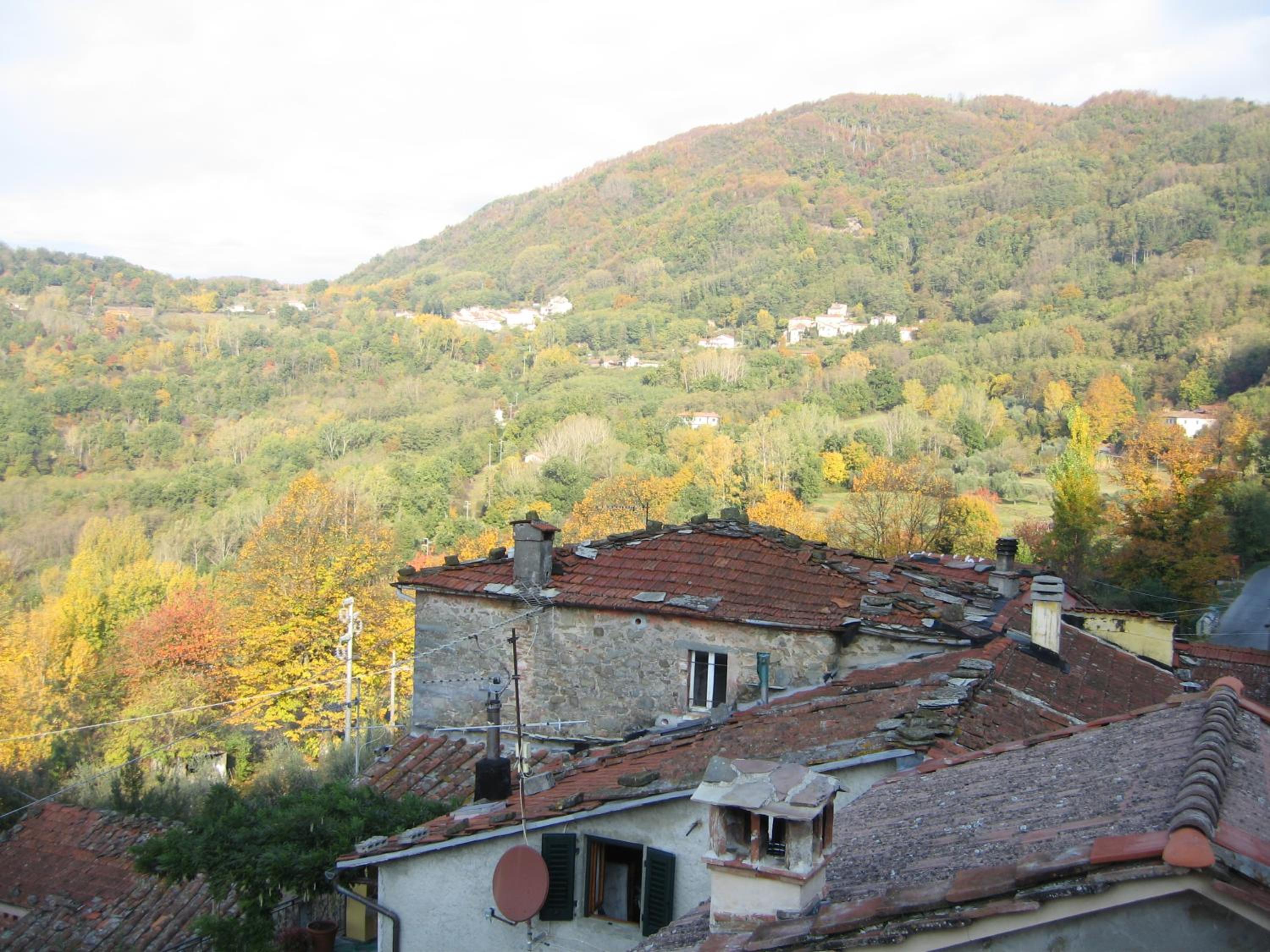 Photo 26