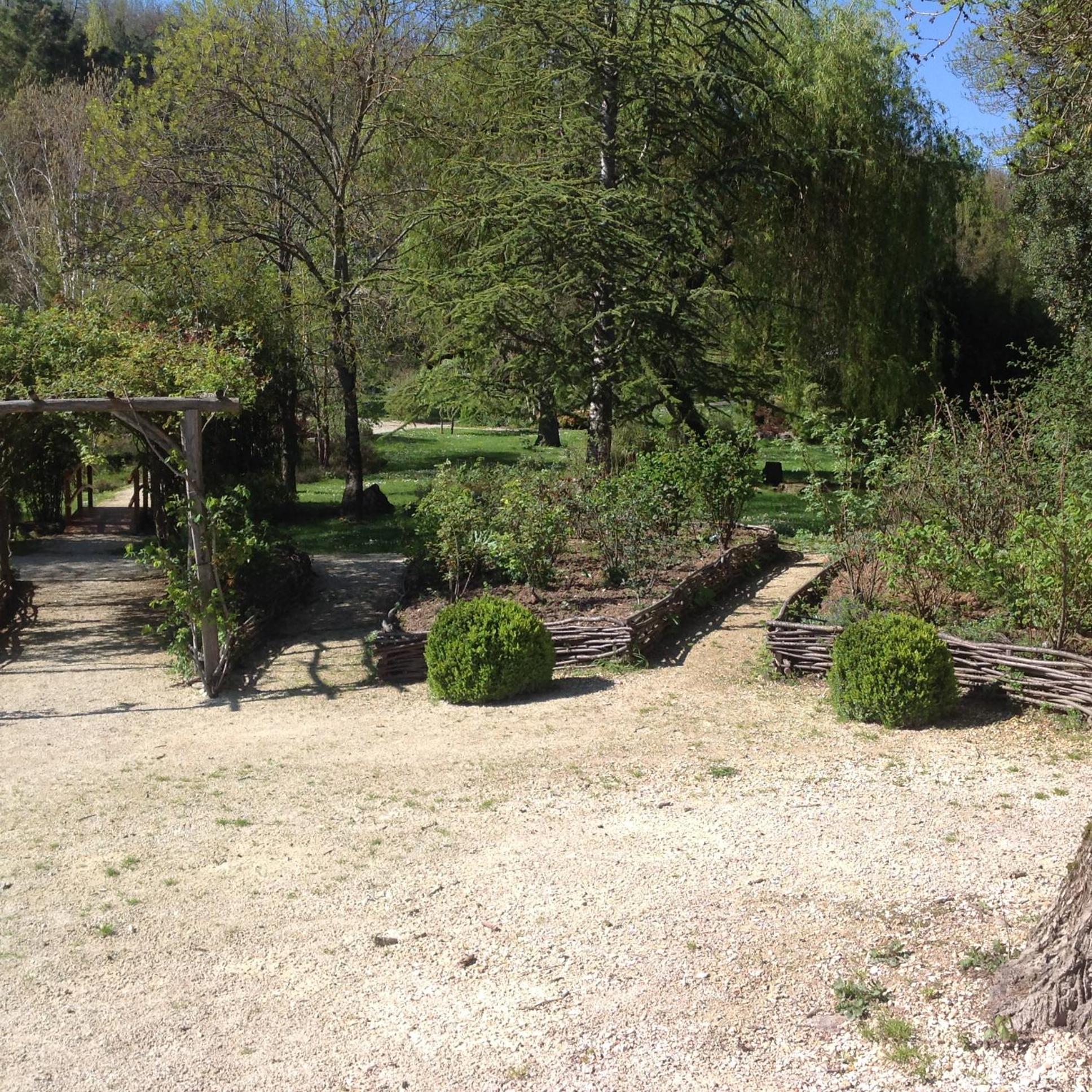Photo 25