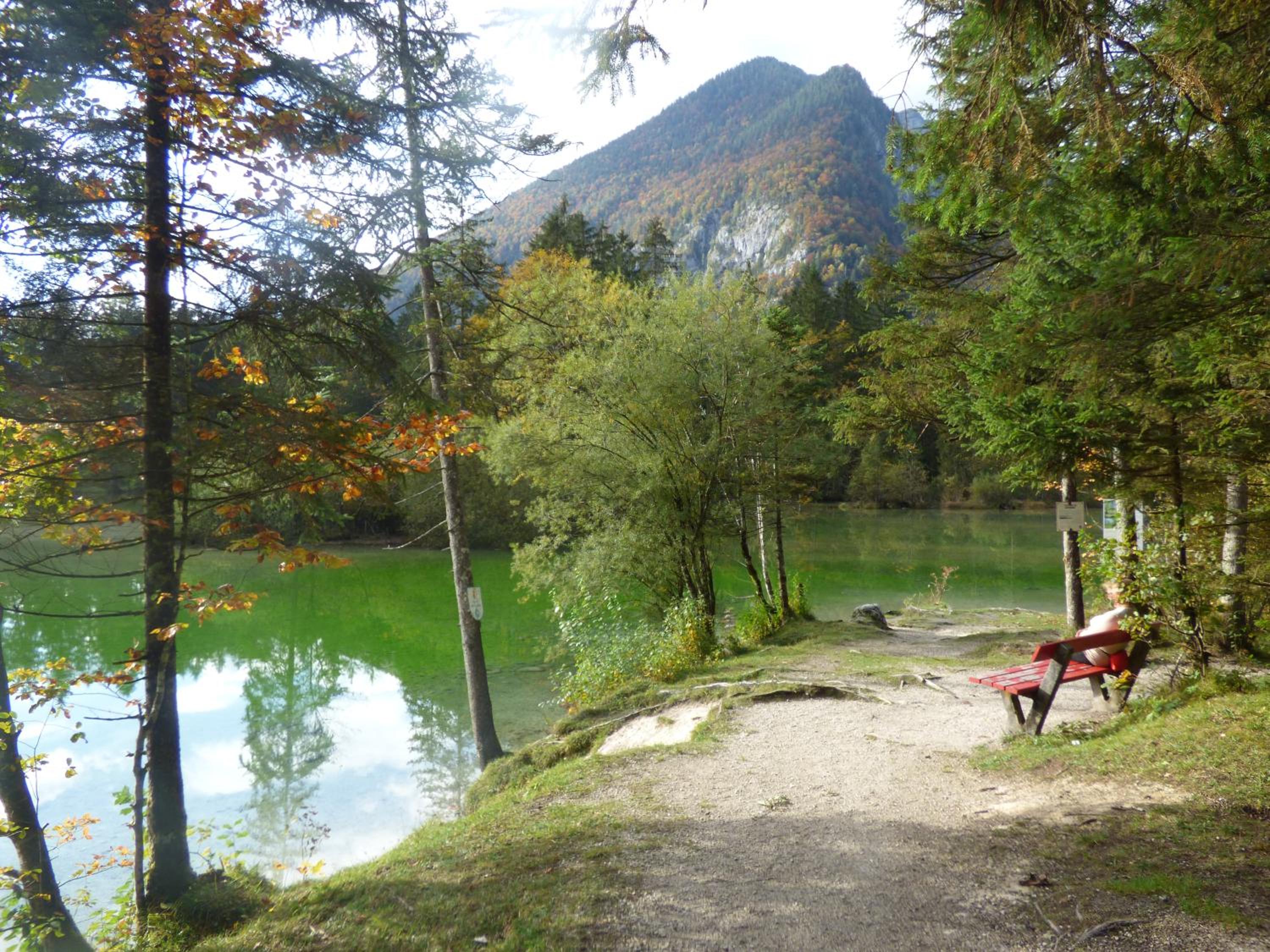 Photo 14