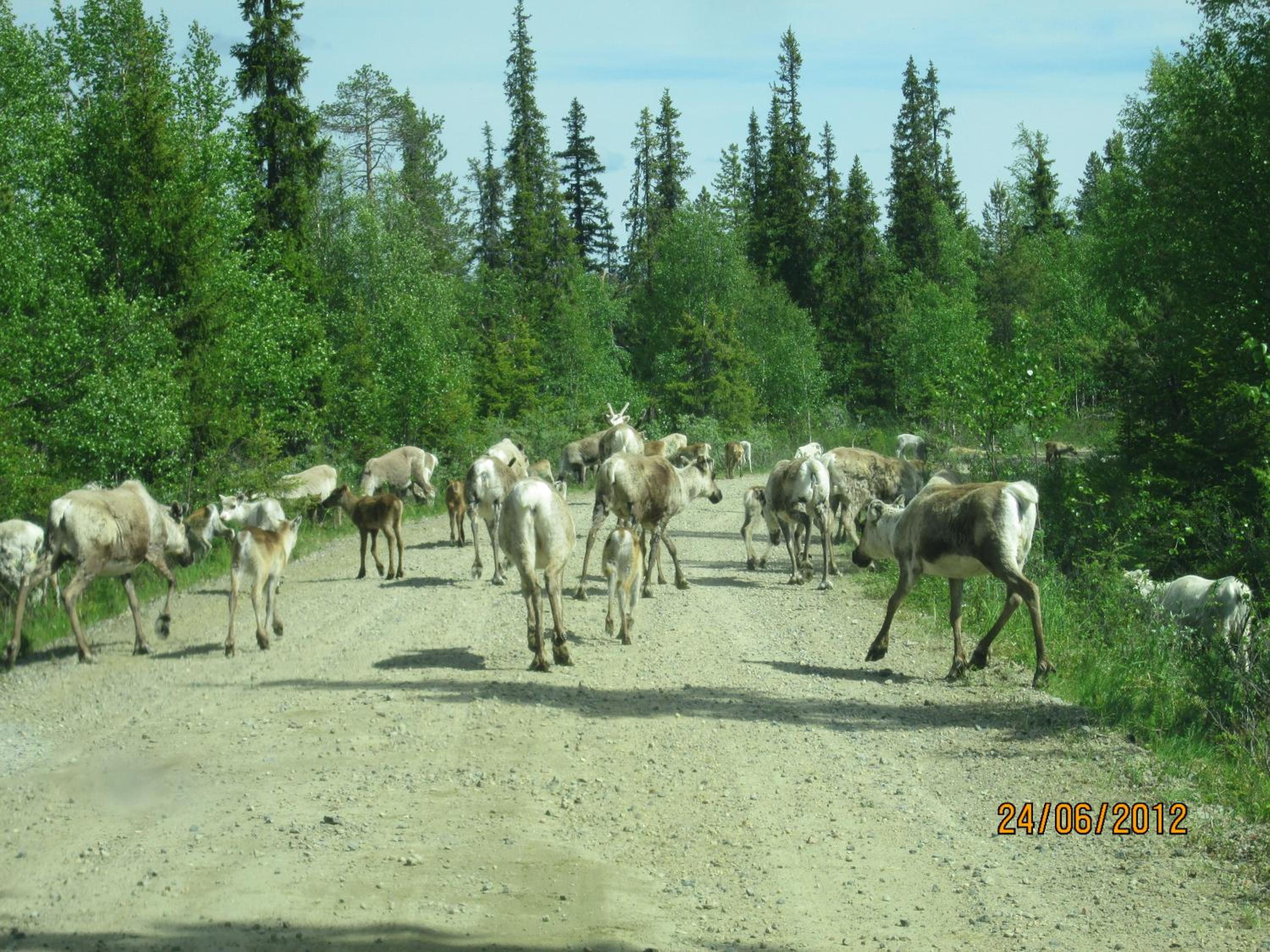 Photo 14
