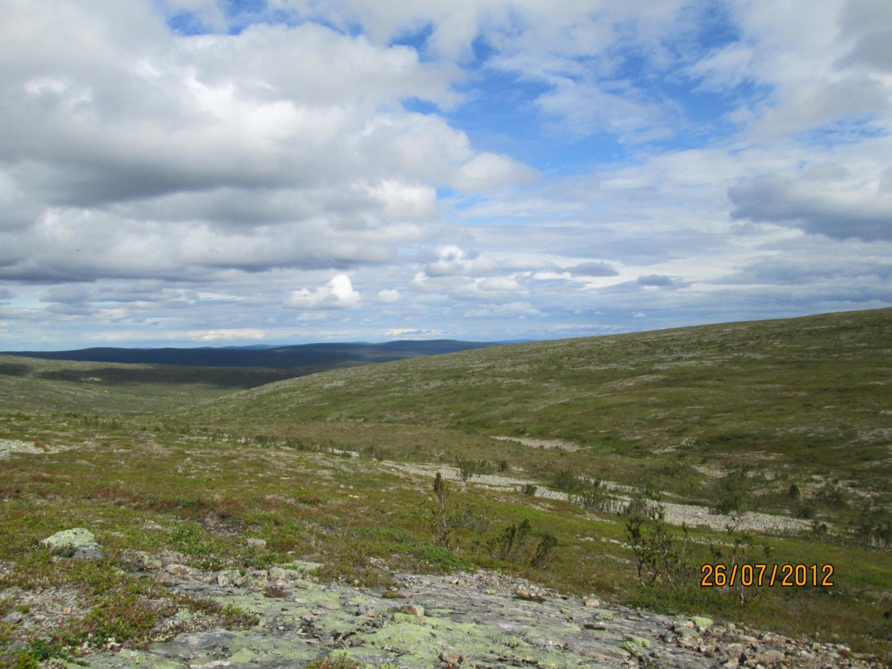 Photo 12