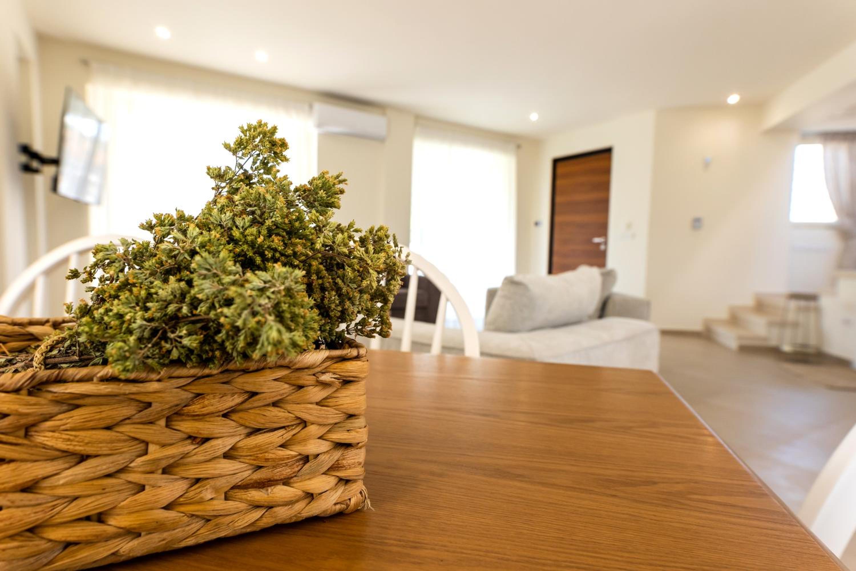 Dream Day Villa