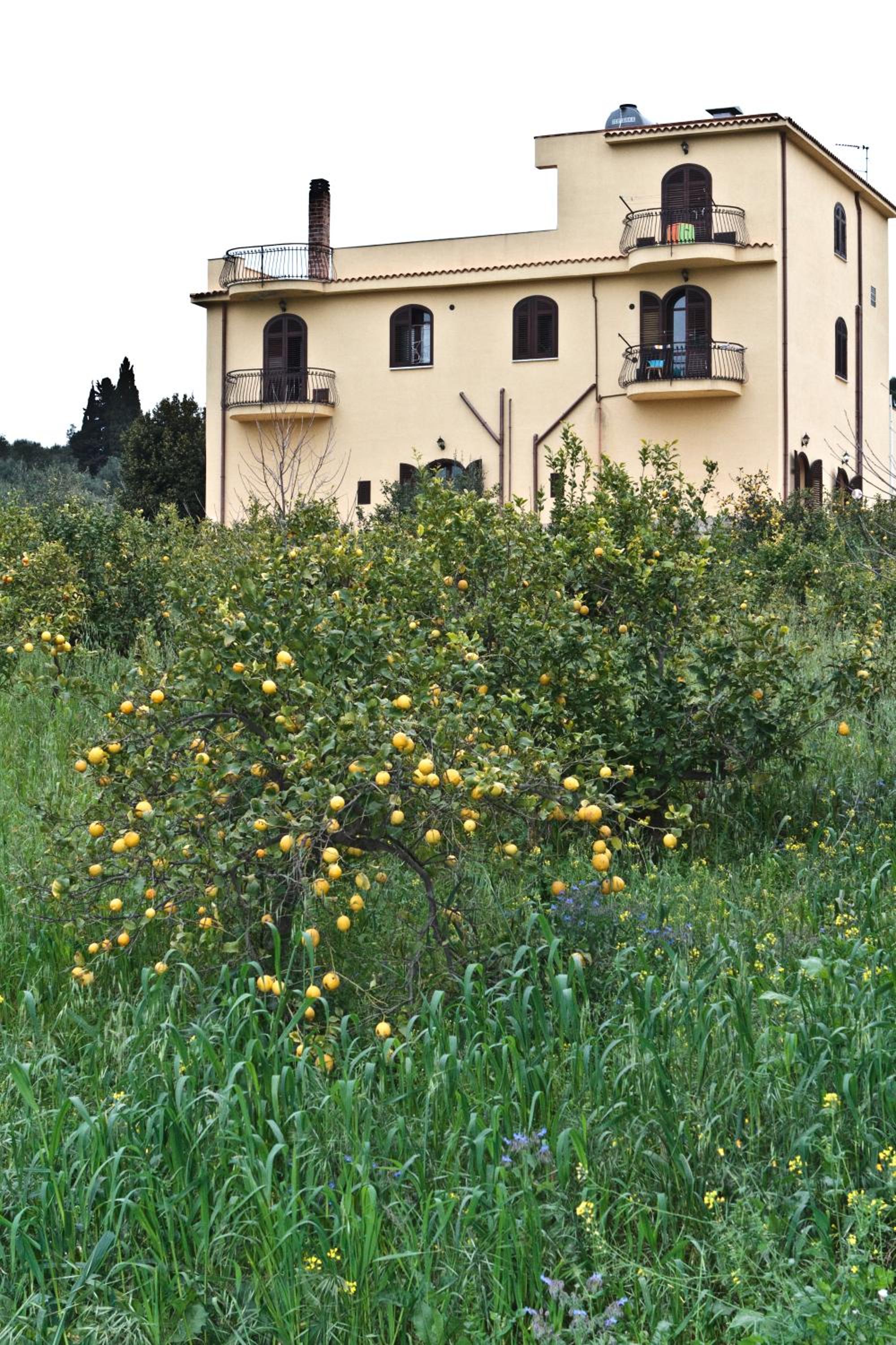 Agriturismo Rajata photo 1