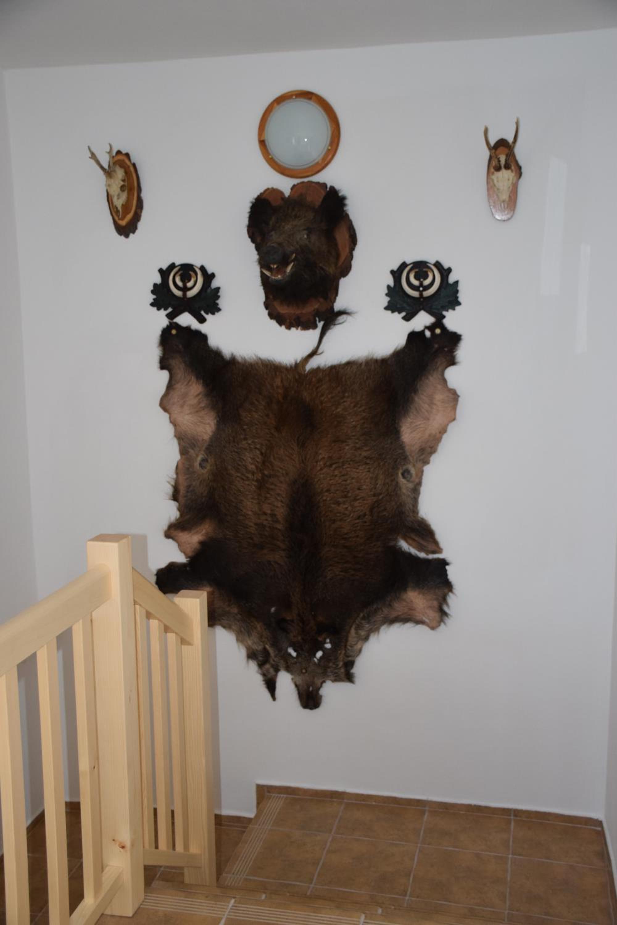 Apartmány Hájenka