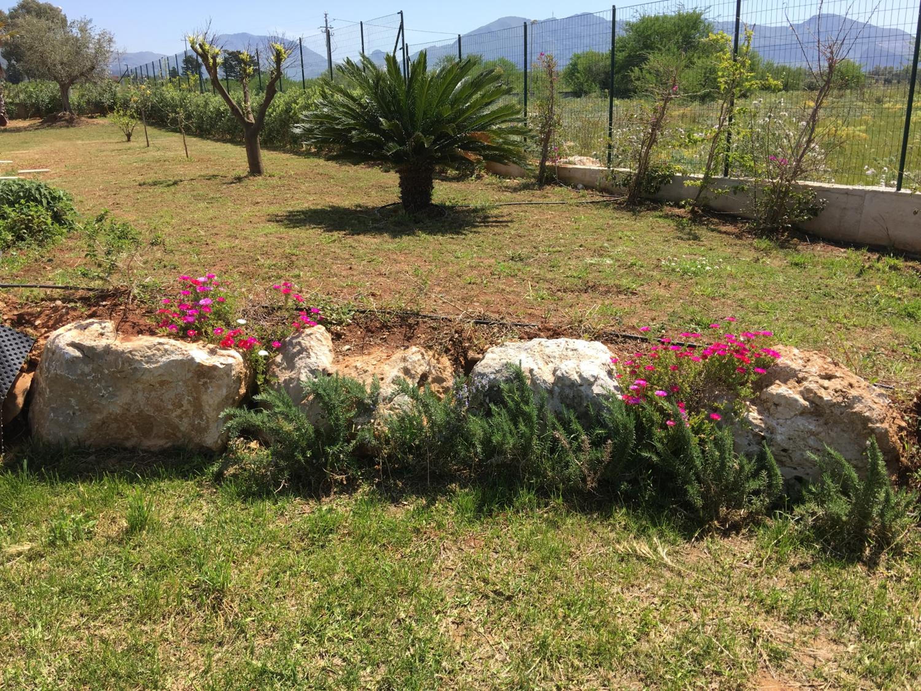 Photo 21