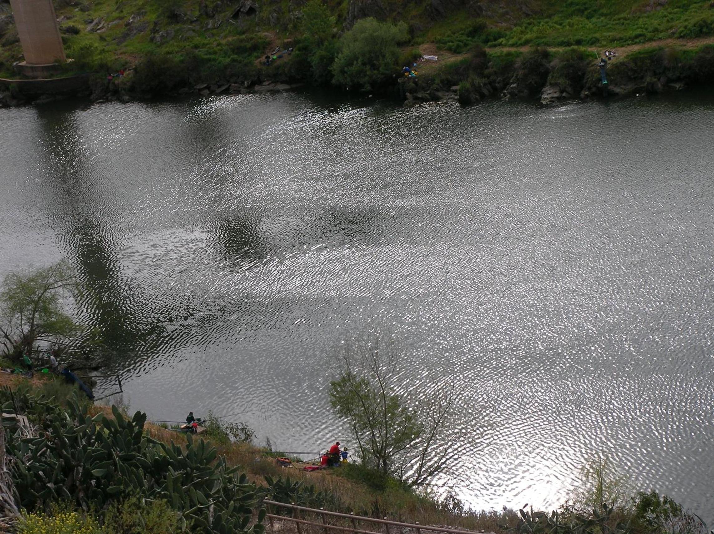 Photo 47