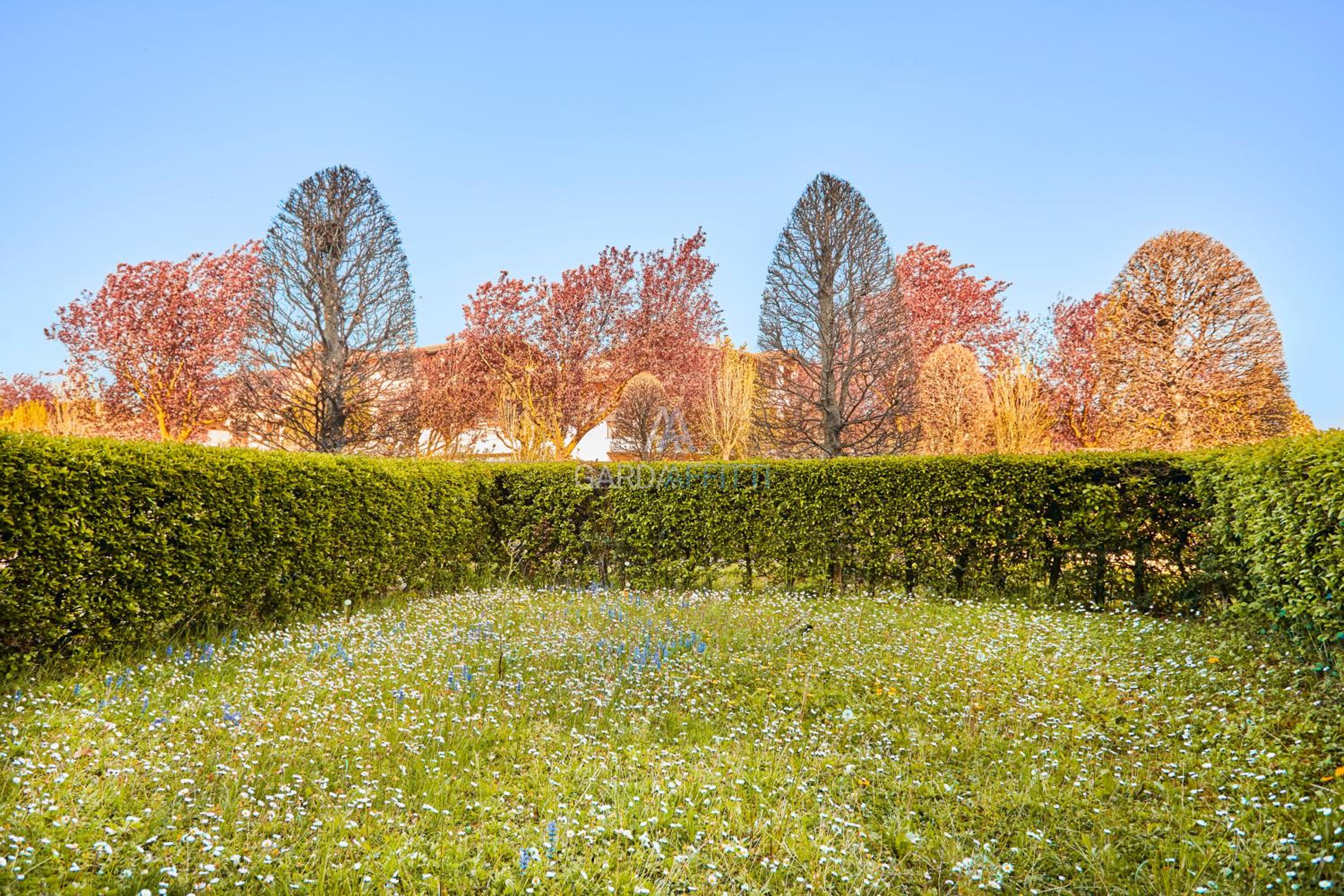 Pegaso Apt - Oasi con Giardino Privato a Sirmione