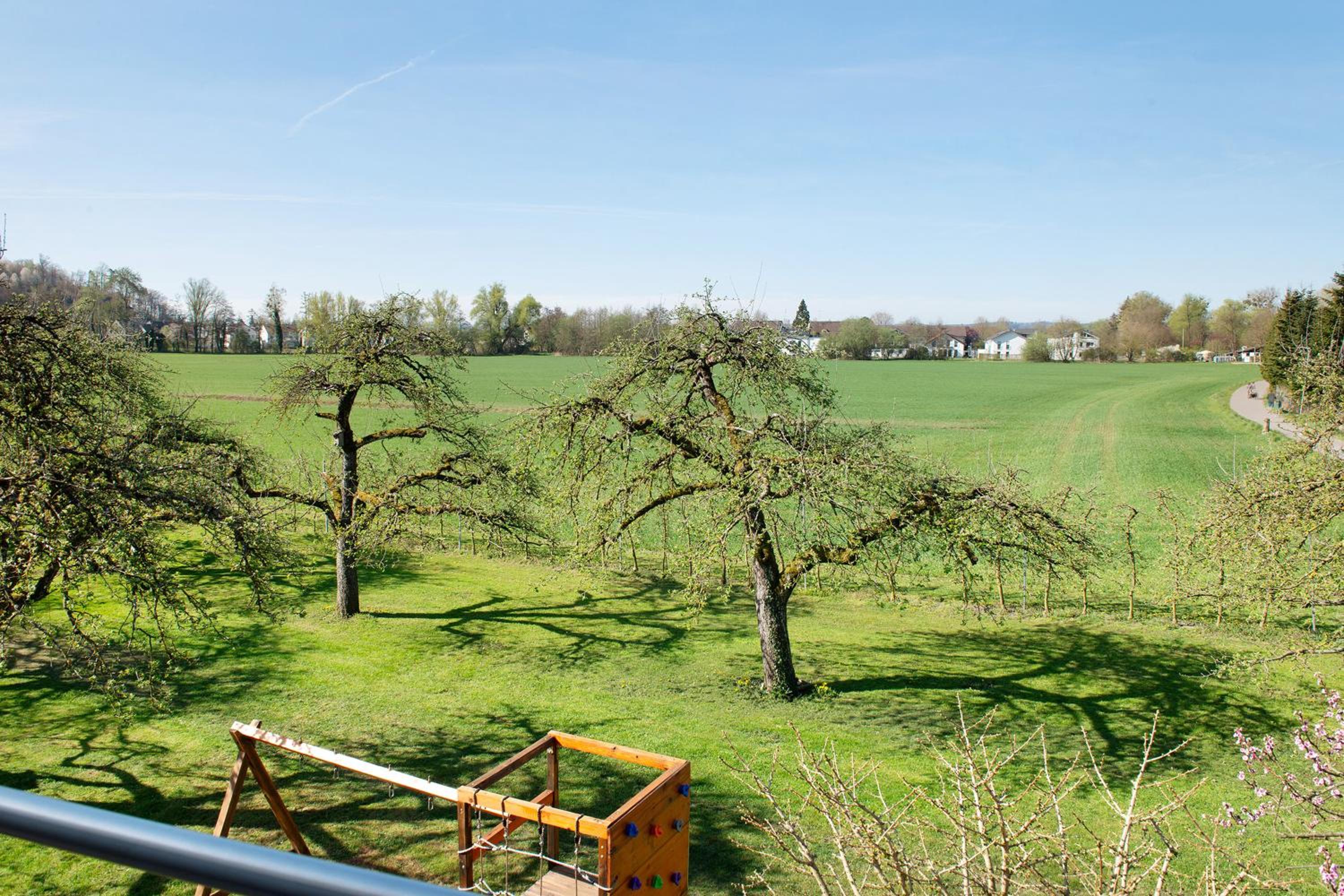 Enderle, photo 10