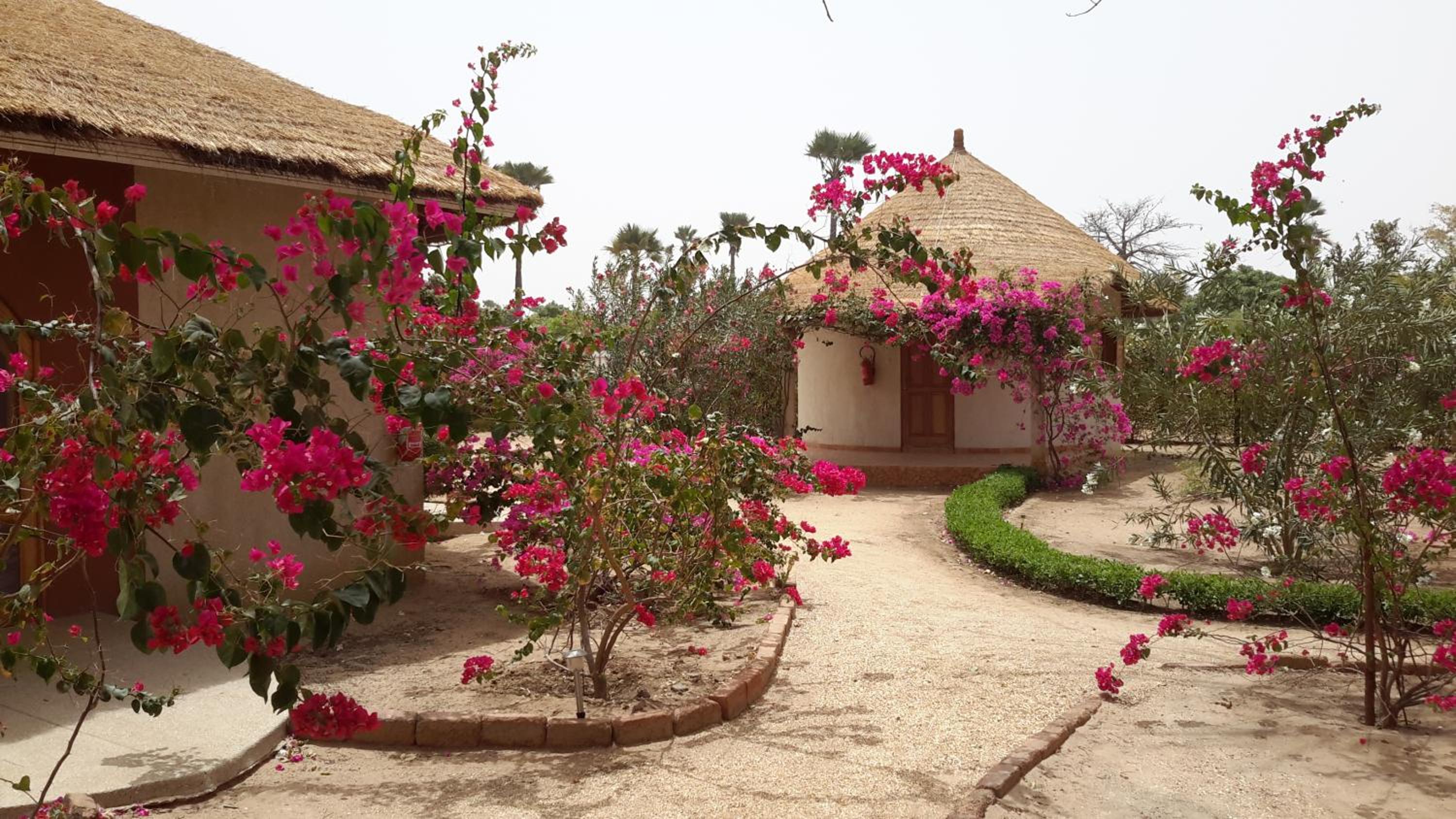 Baobab Lodge