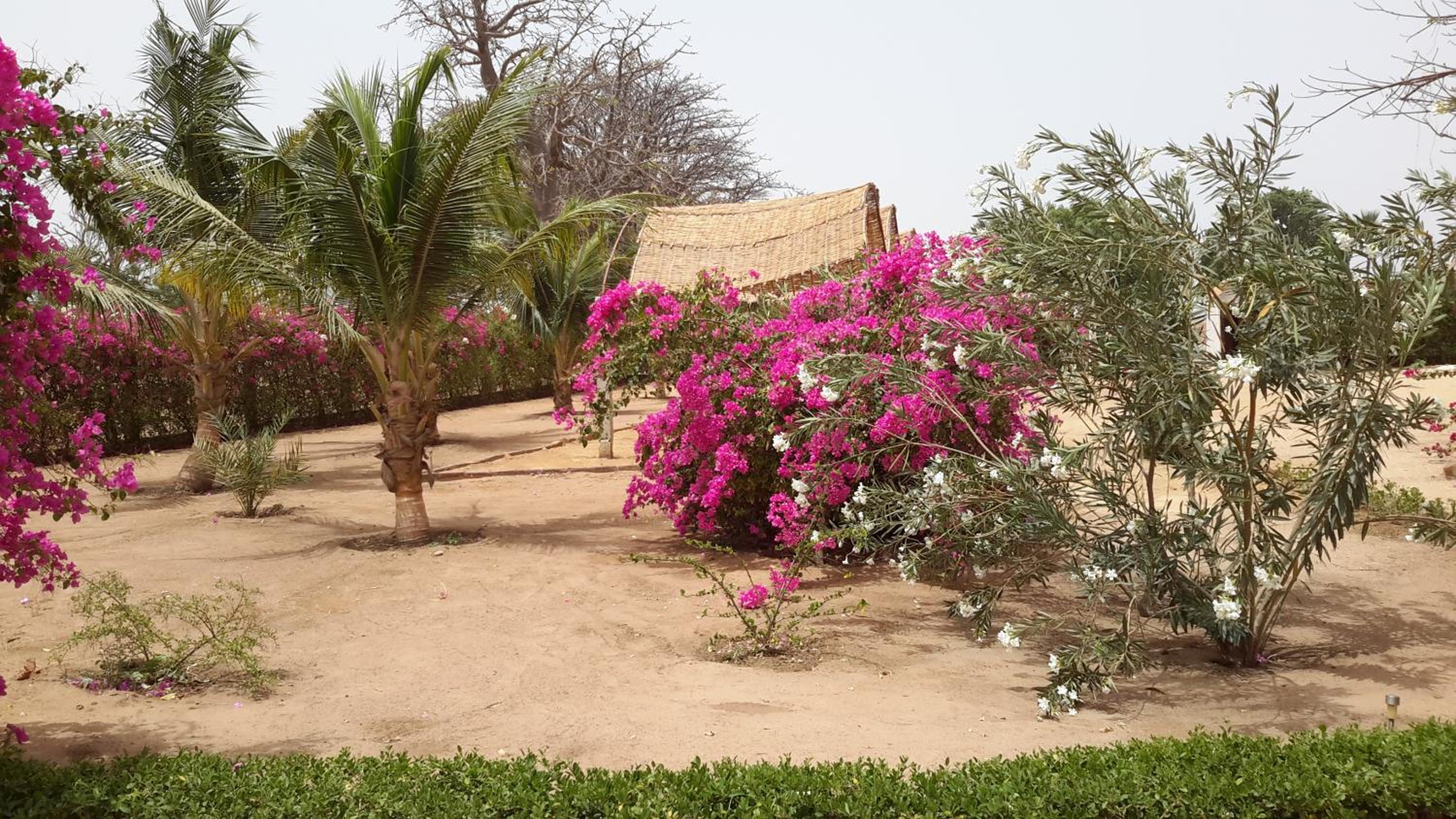 Baobab Lodge