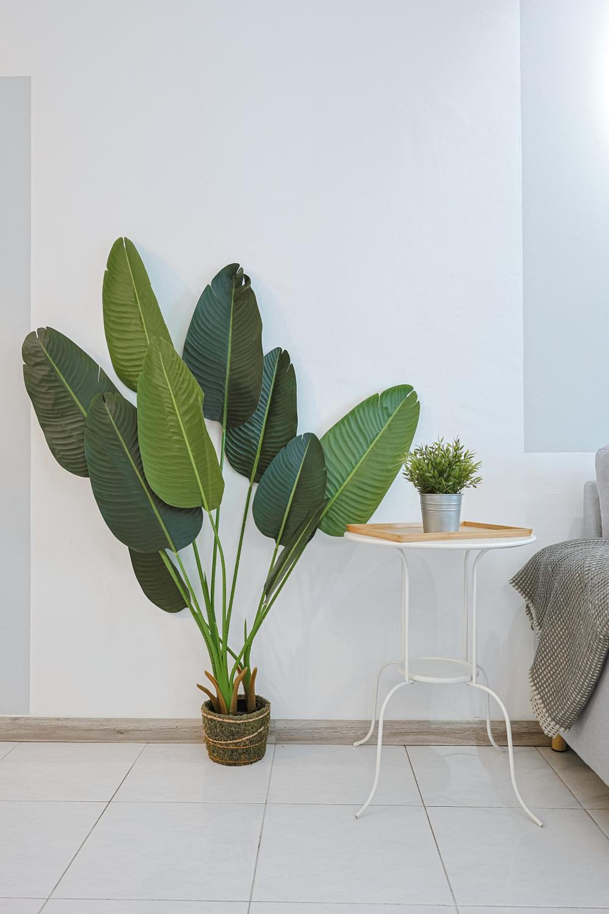 Modern Studio Retreat -Prime Location Brinchang Clover Home 1-03