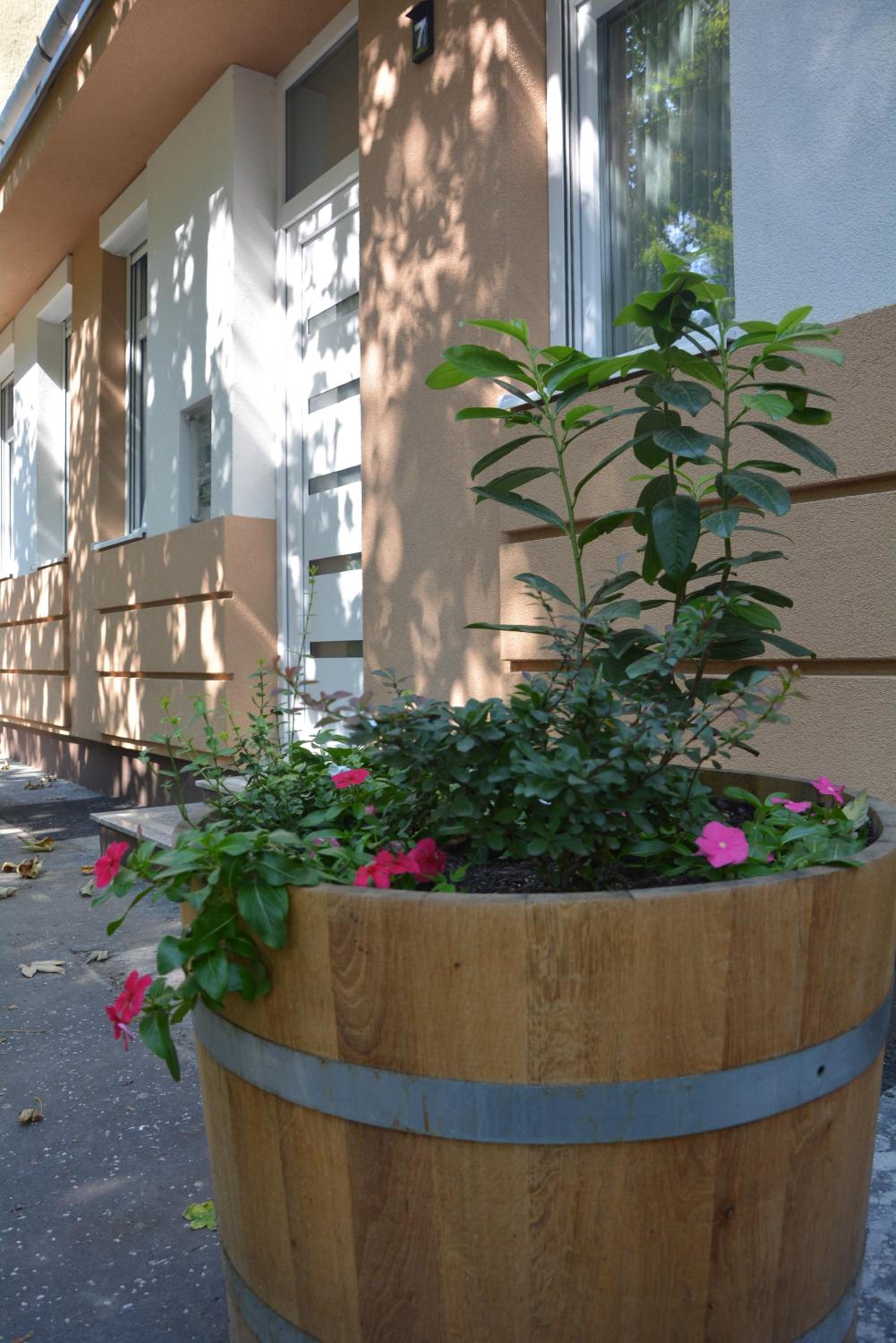 Bodza Apartmanok