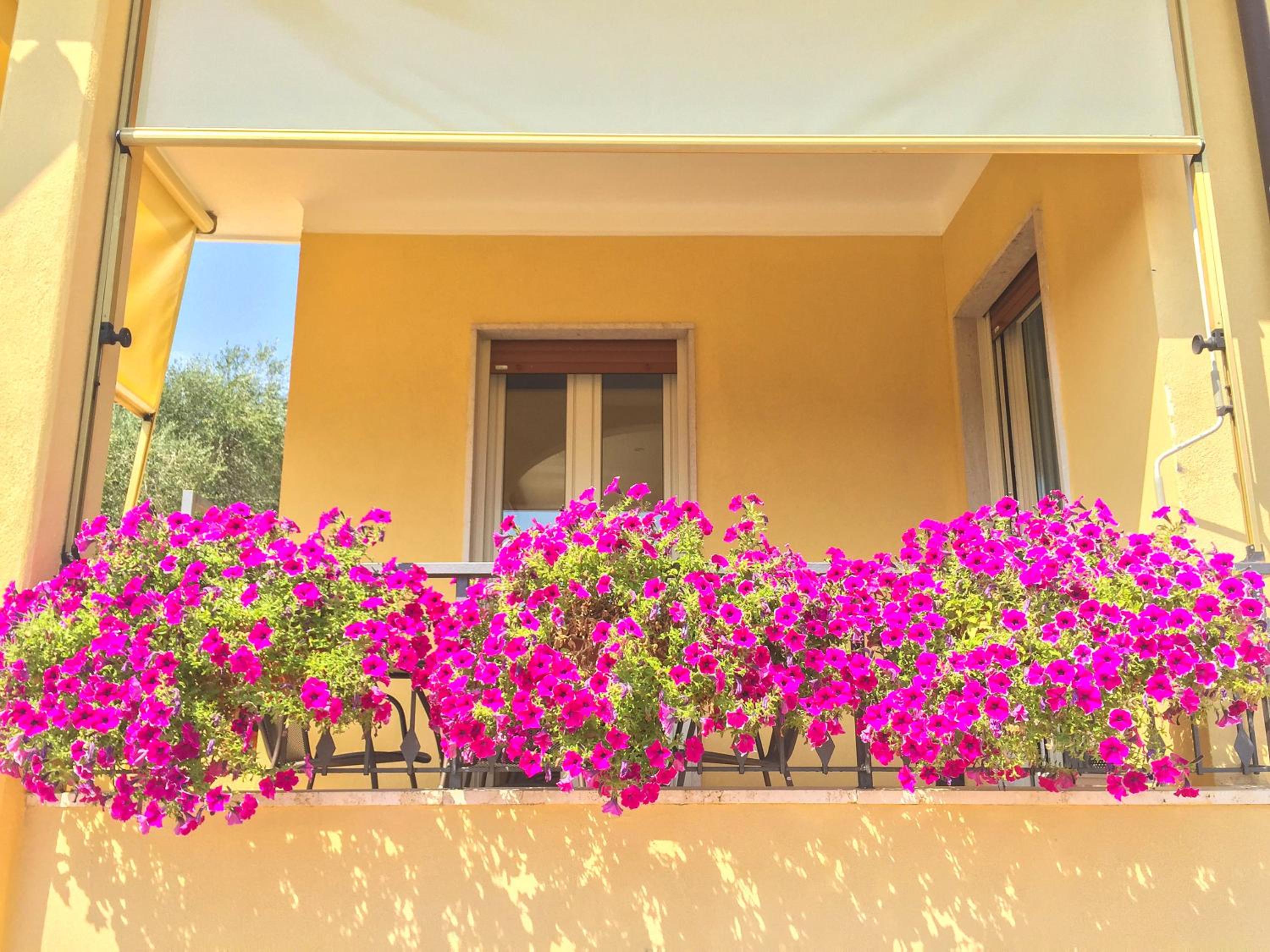 Appartamenti Villa il Poggiolo