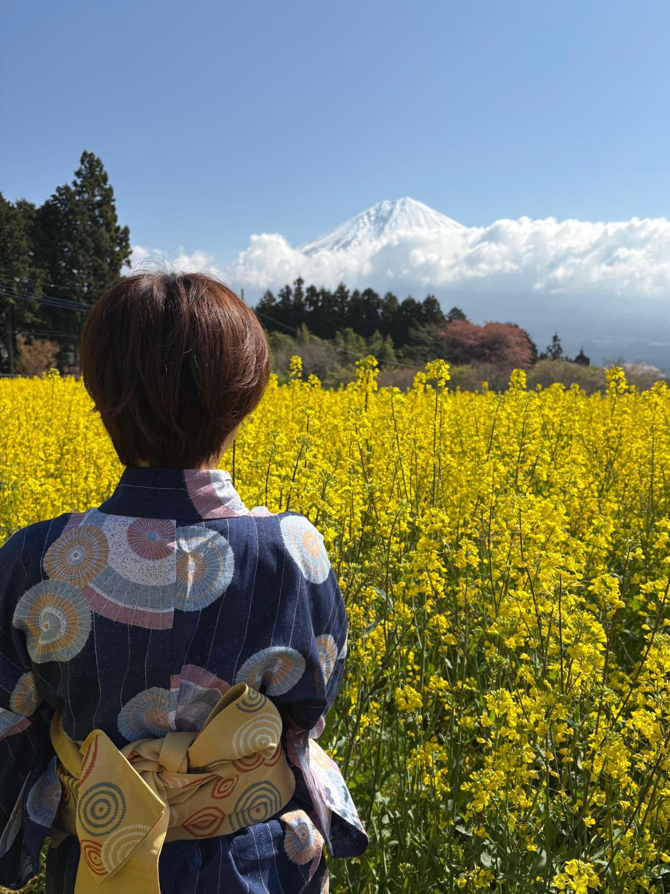 Shiraito Garden A Private Retreat Near Shiraito Falls with Mt Fuji Views
