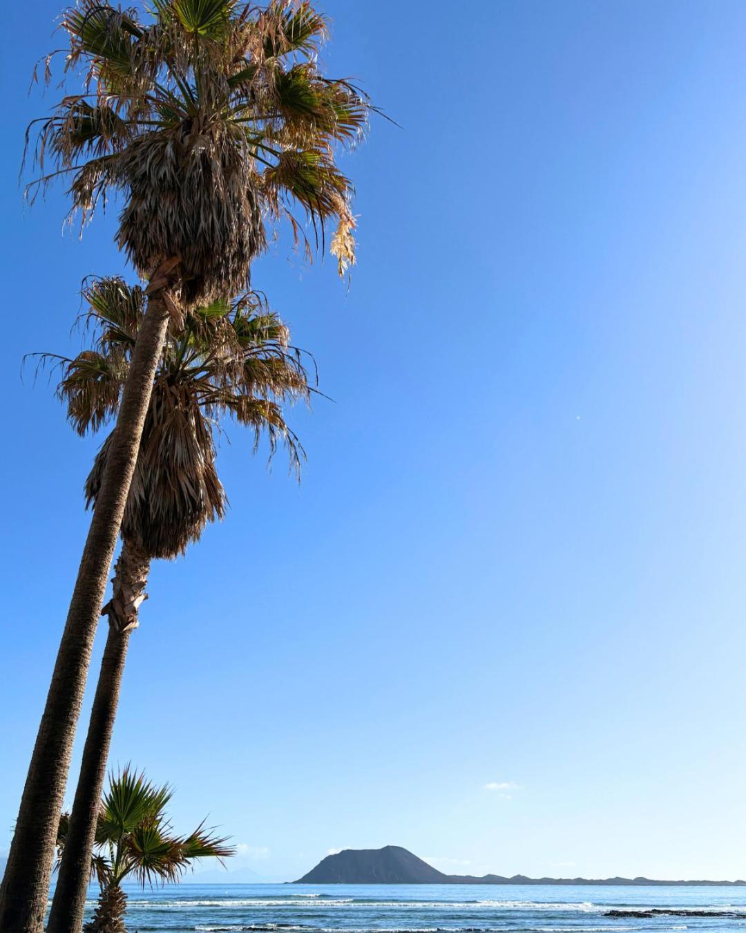 BeachFront Villa - La Casa del Mar
