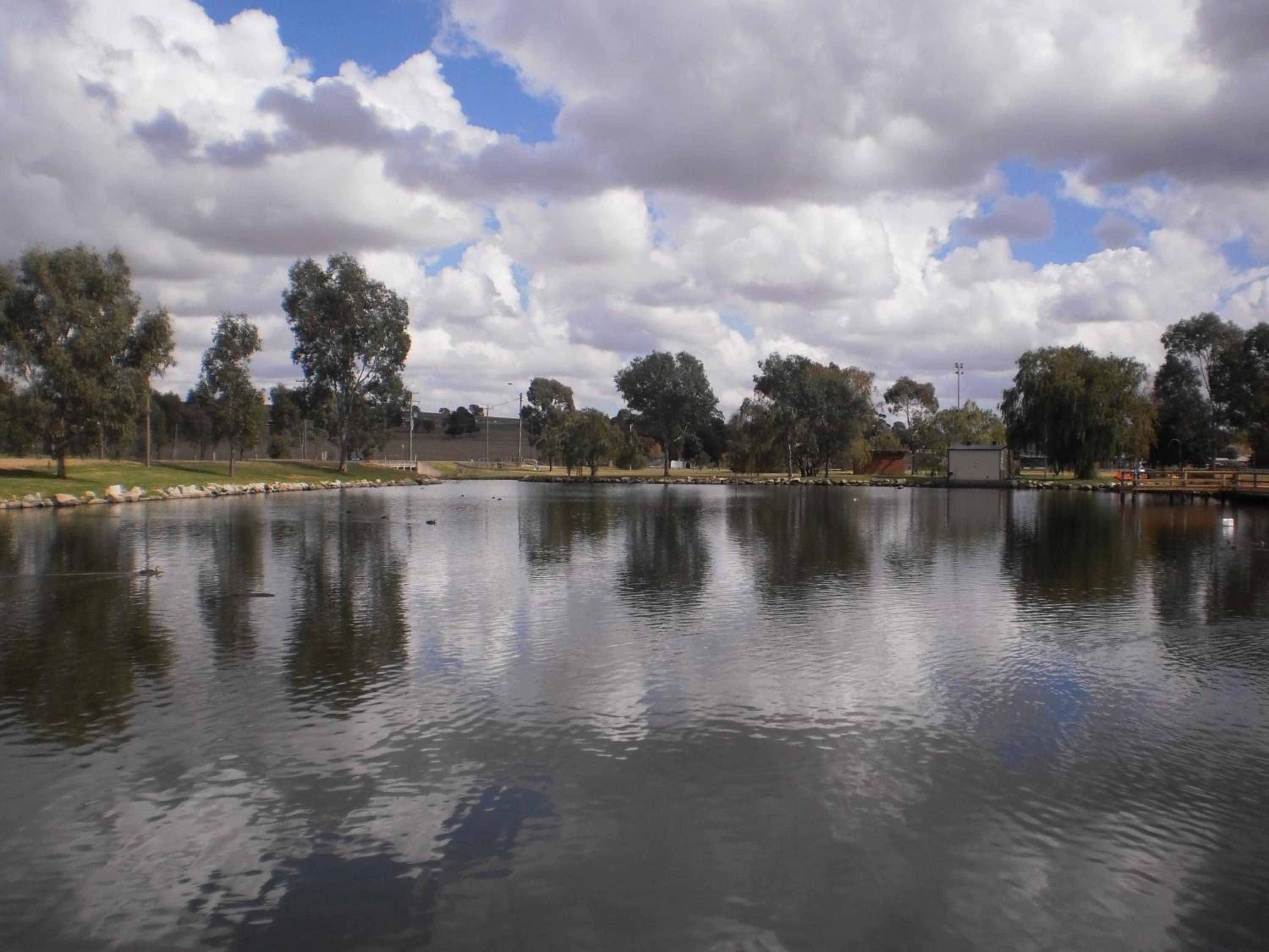 Junee Tourist Park