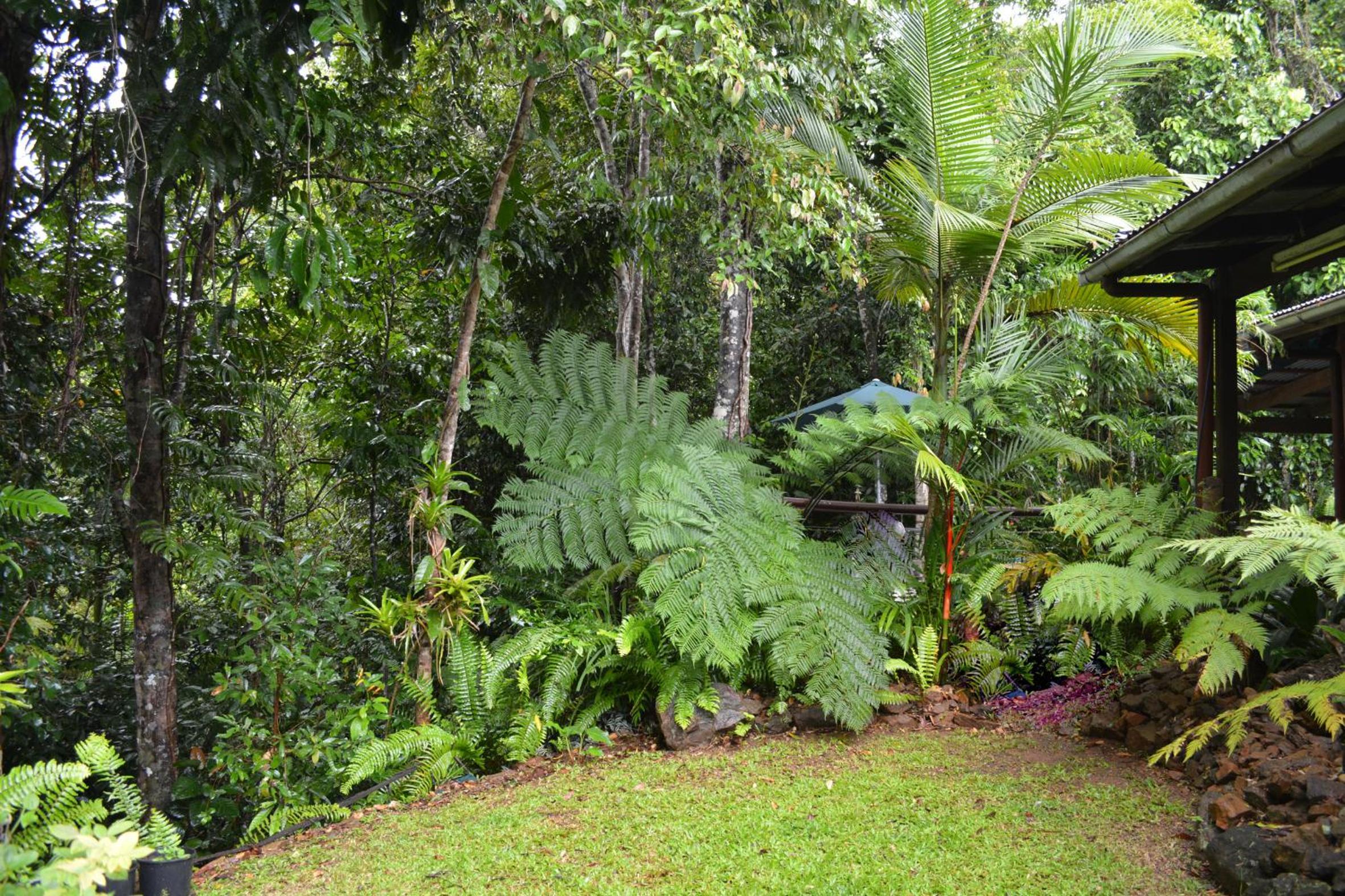 Tropical Bliss bed and breakfast