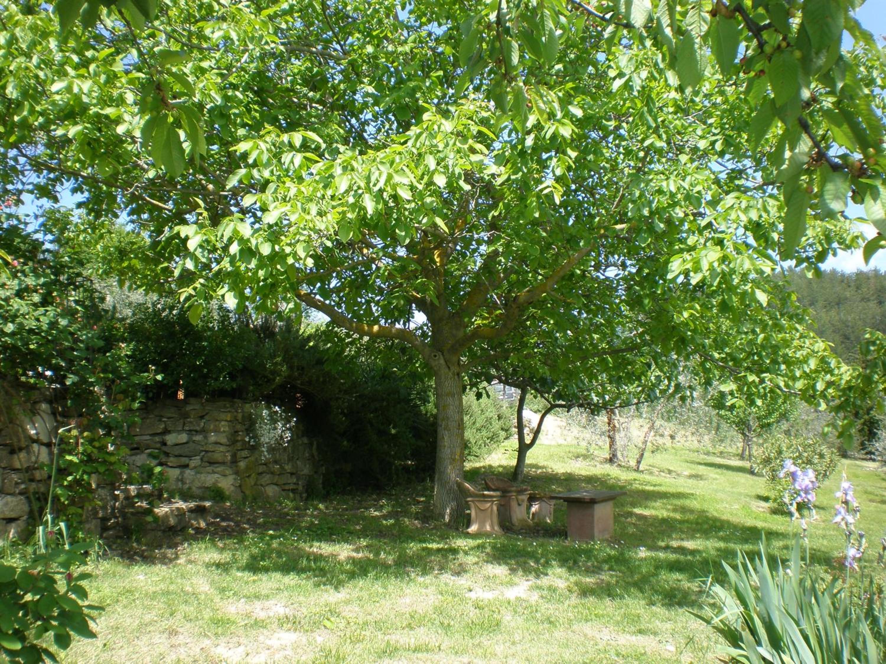 Photo 25
