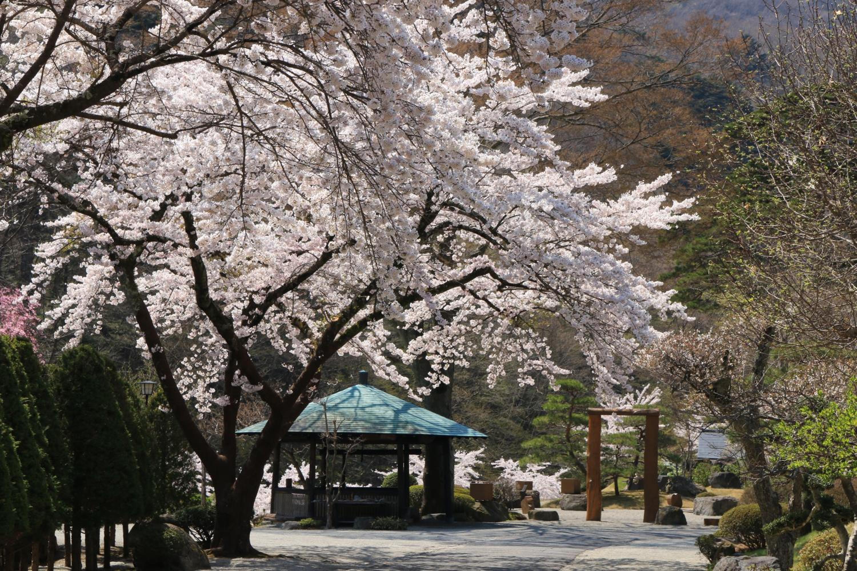 Itamuro Onsen Daikokuya view 5