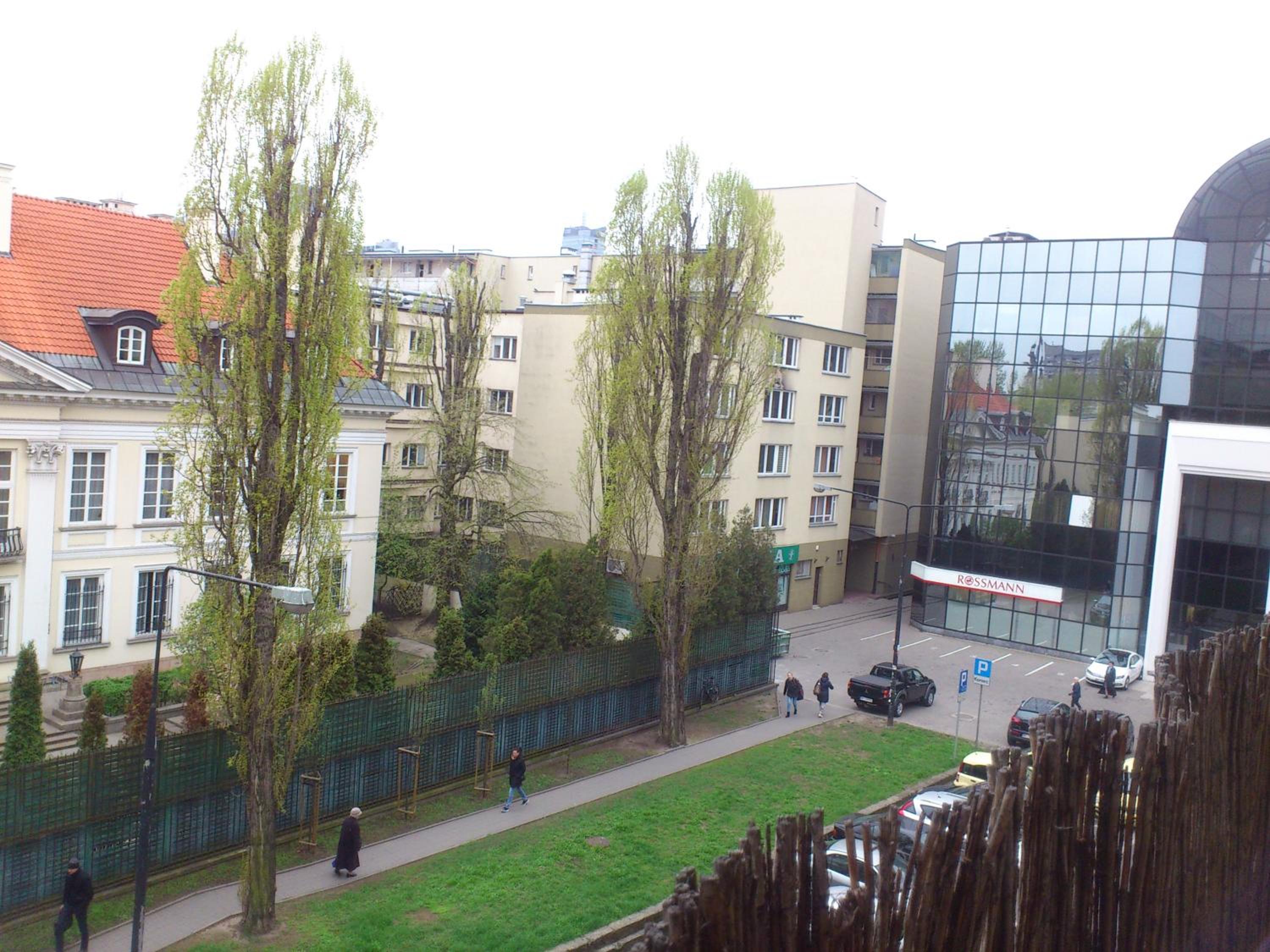 Photo 39