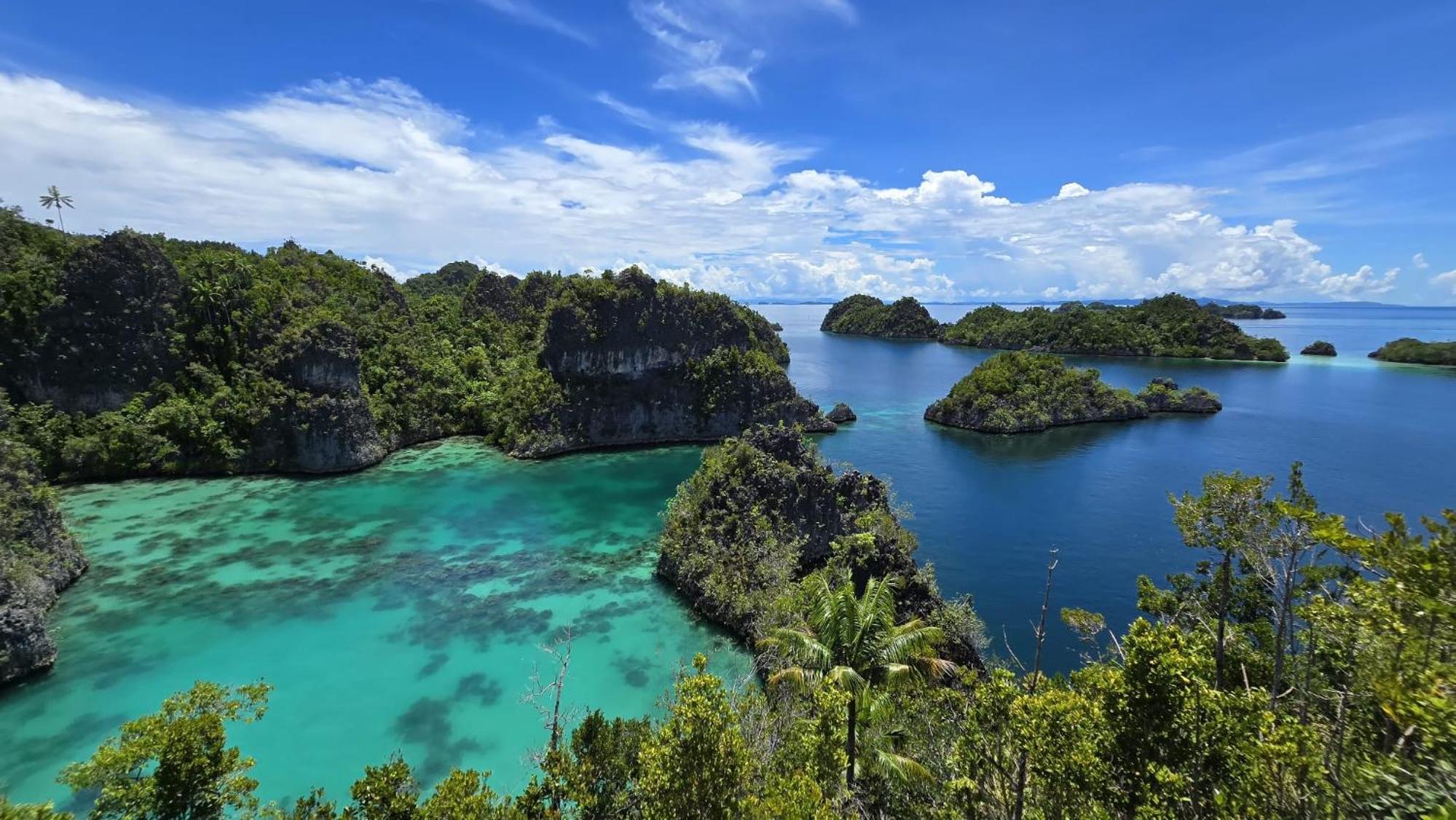 Senjahomestayrajaampat