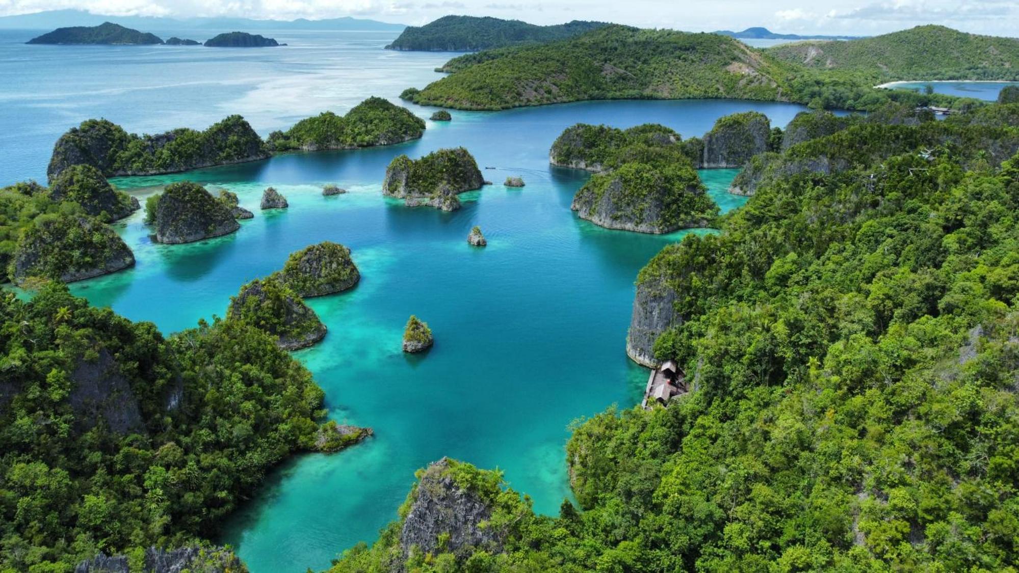 Senjahomestayrajaampat