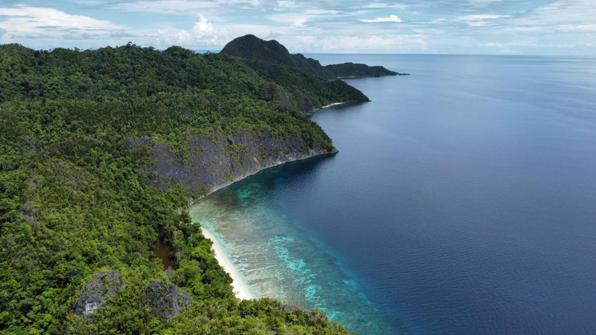 Senjahomestayrajaampat