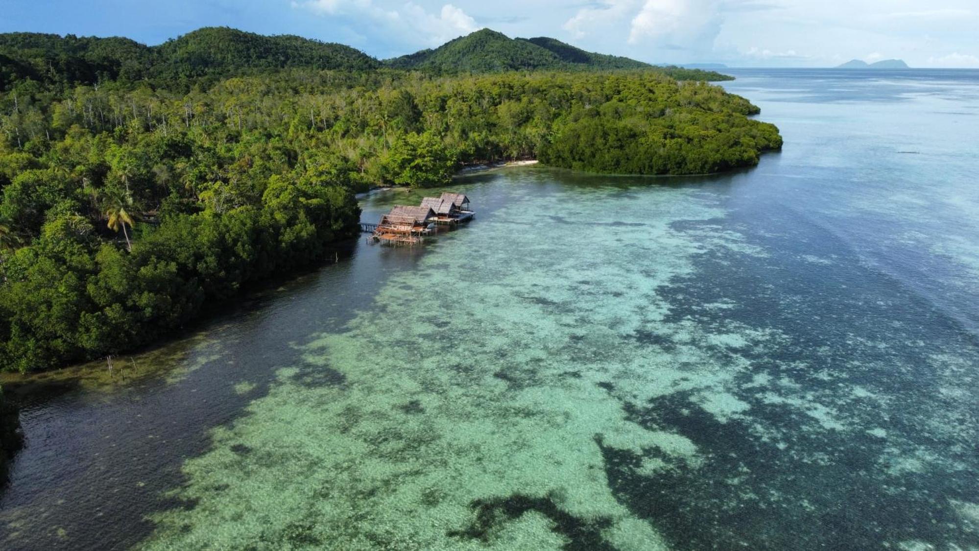 Senjahomestayrajaampat