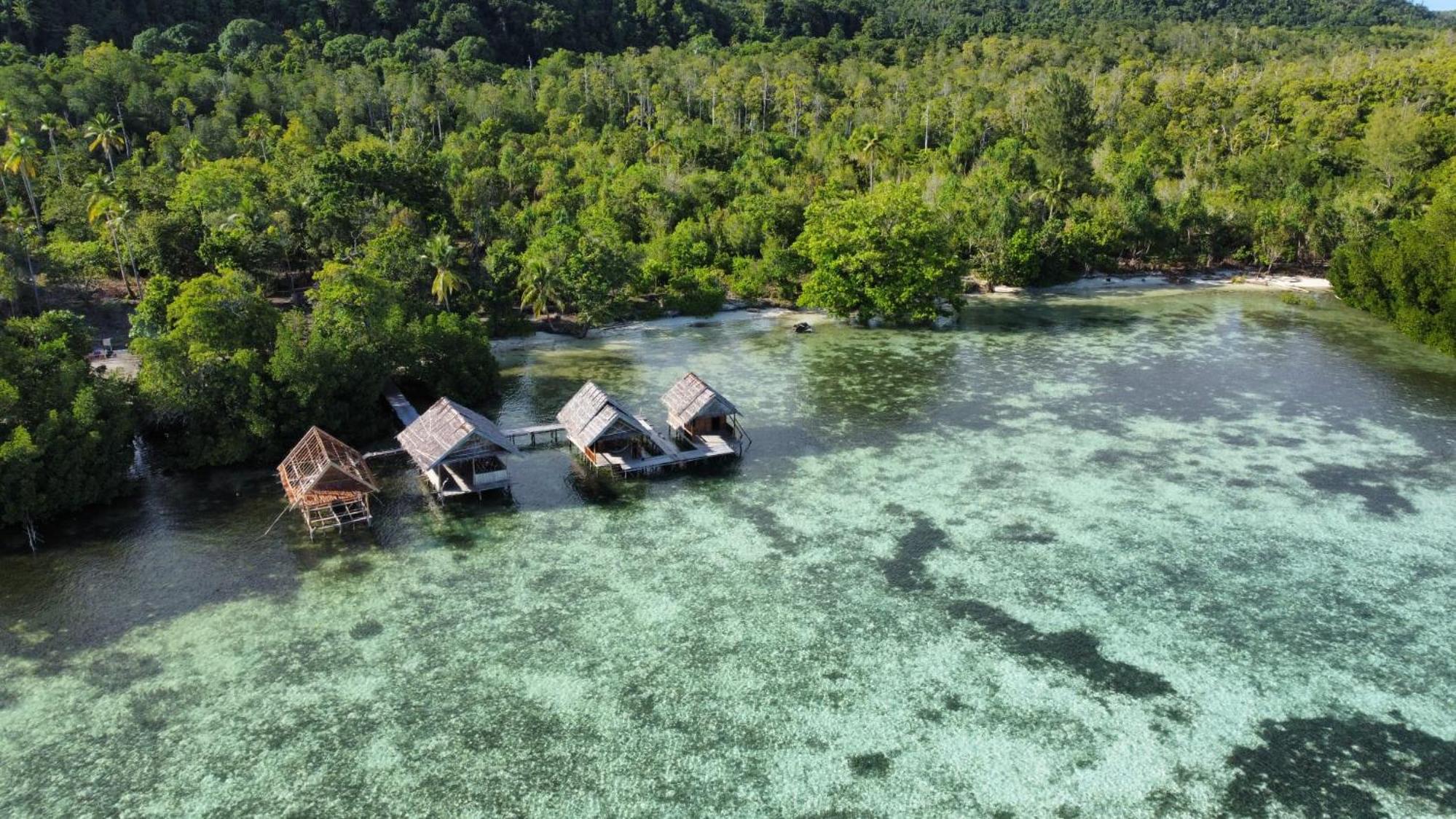Senjahomestayrajaampat