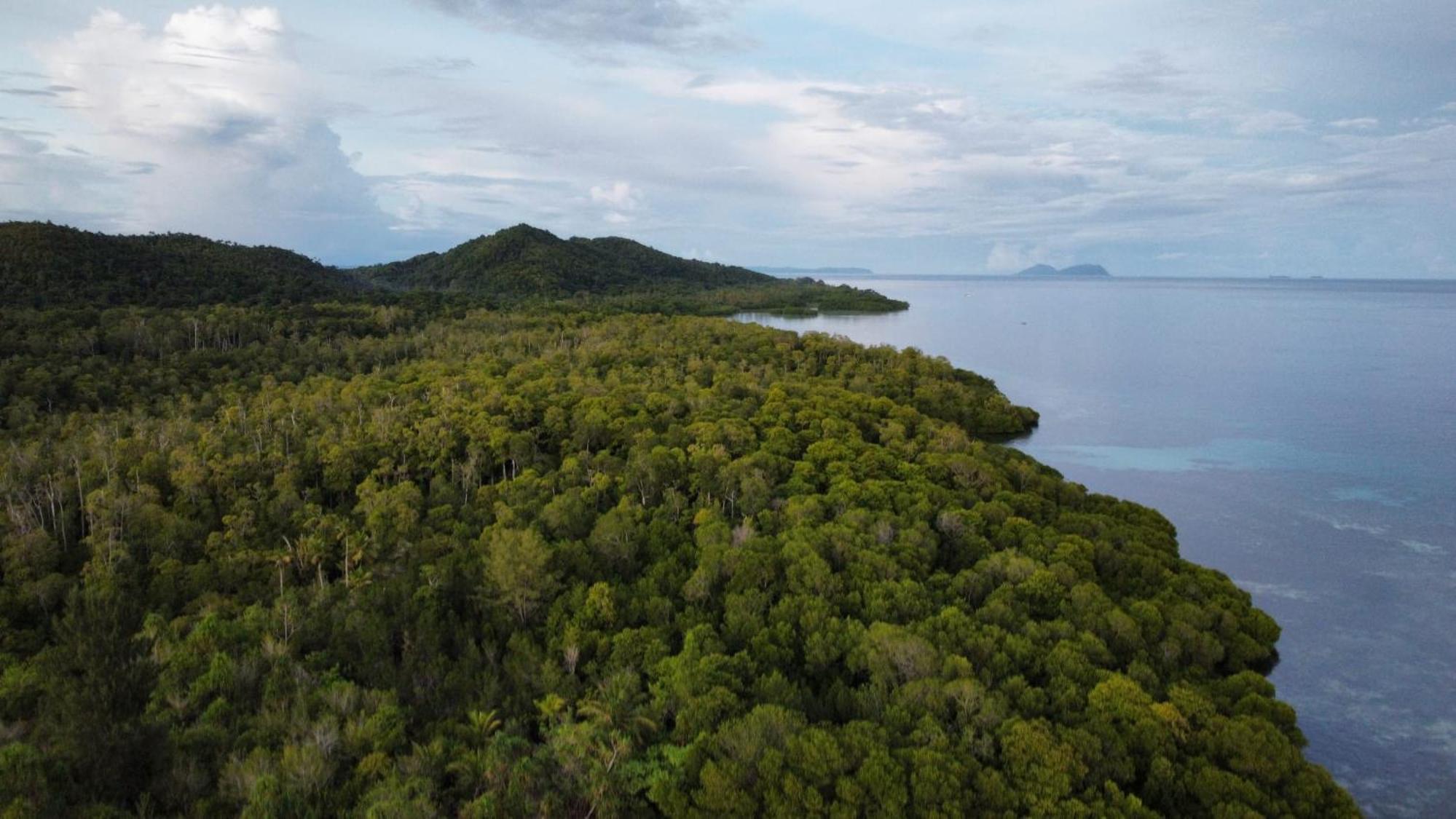 Senjahomestayrajaampat